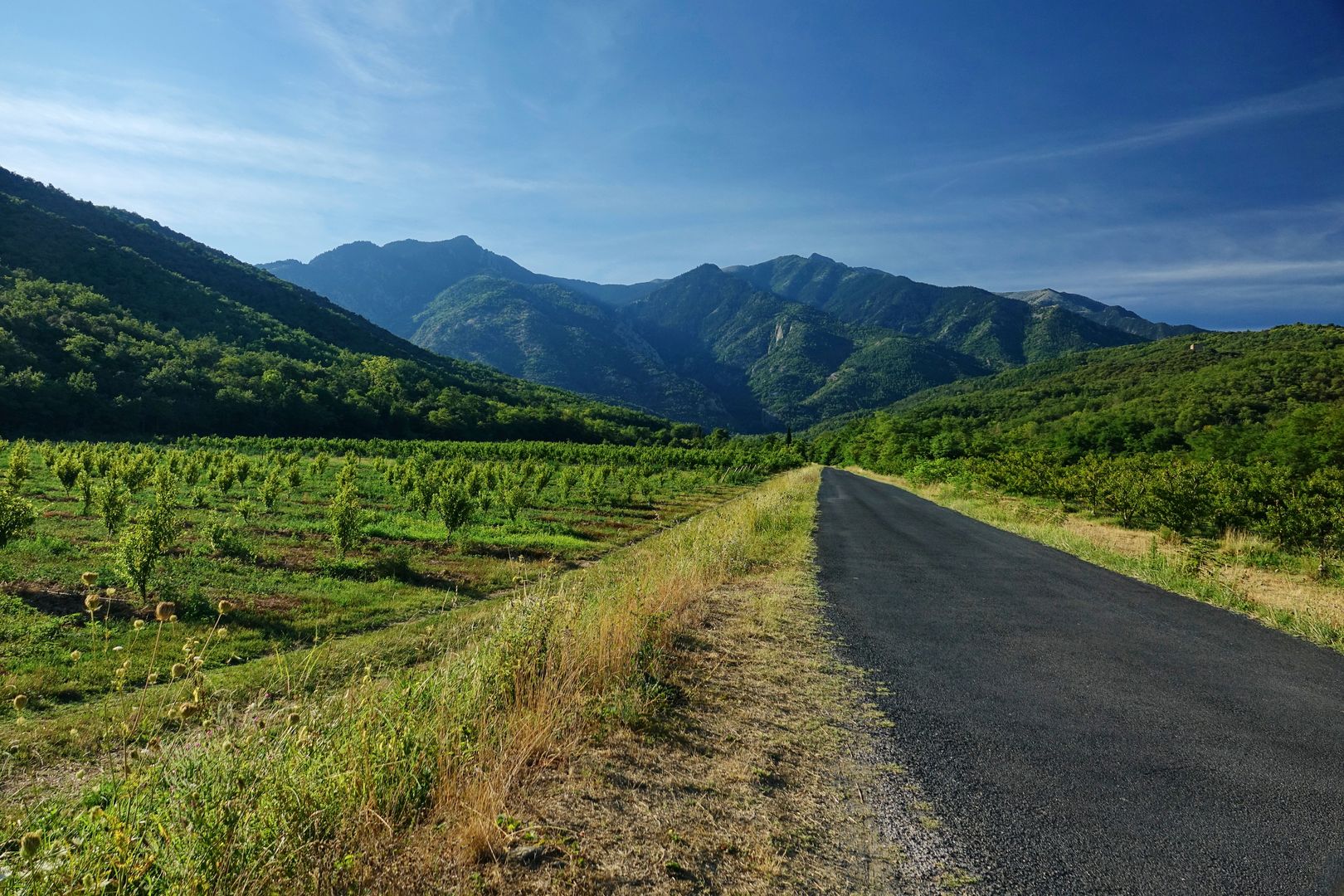 2018_08_16_Francie_klášter St. Michéle de Cuxa_pohled na masiv Canigou