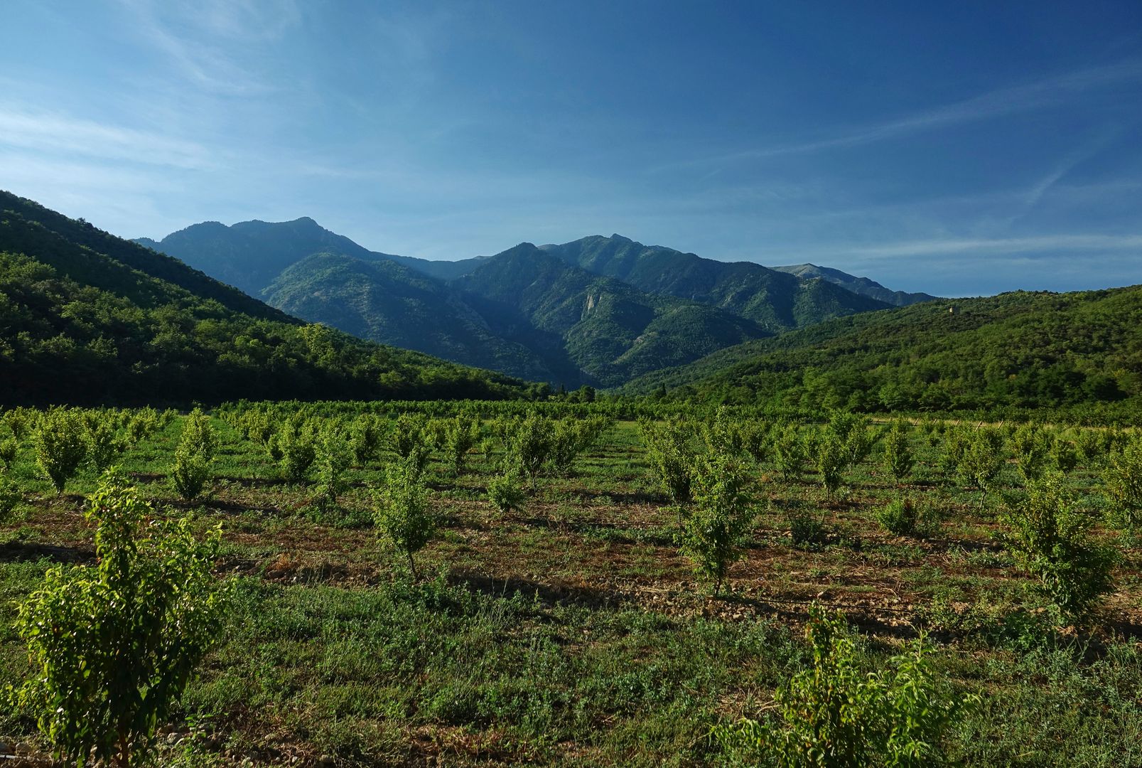 2018_08_16_Francie_klášter St. Michéle de Cuxa_pohled na masiv Canigou_02