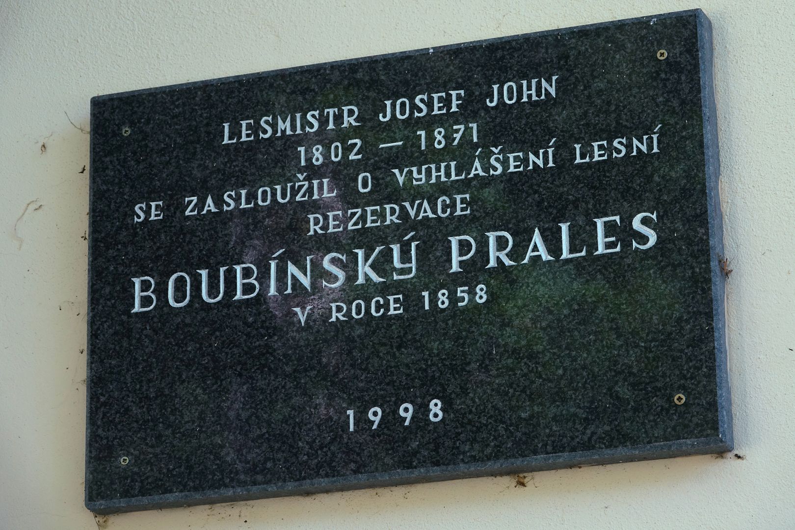 Boubínský prales (1)