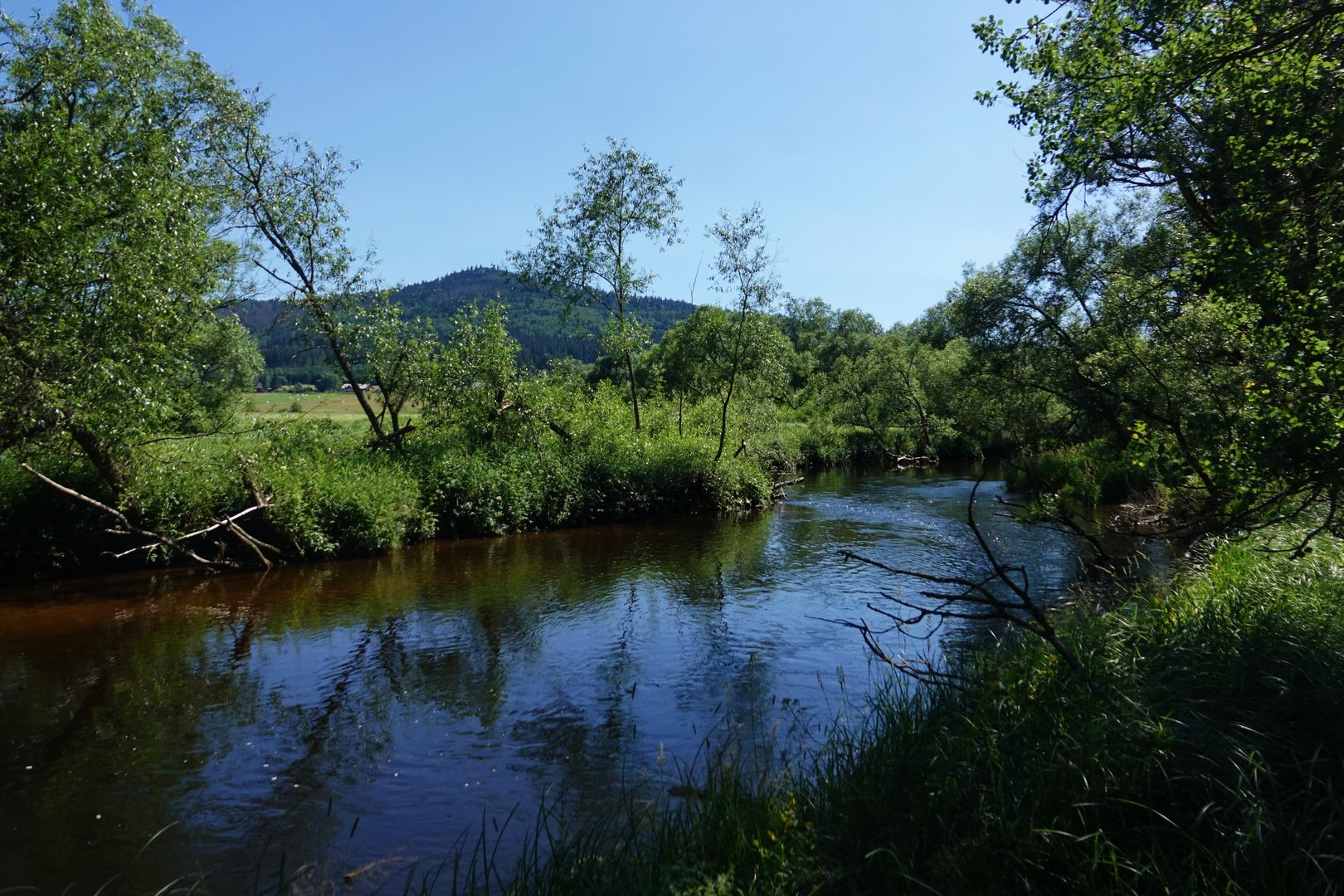 Soumarské rašeliniště_od Tplé Vltavy na Stožec