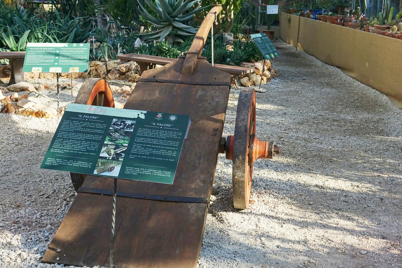 Botanická zahrada a muzeum v Pise (2)