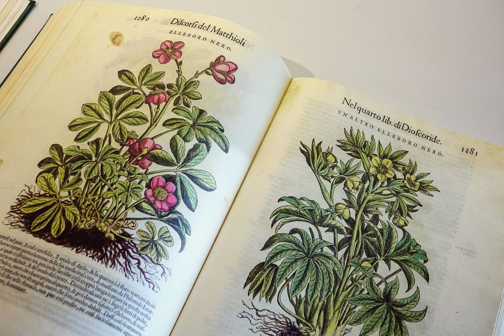 Botanická zahrada a muzeum v Pise_Matthioliho herbář