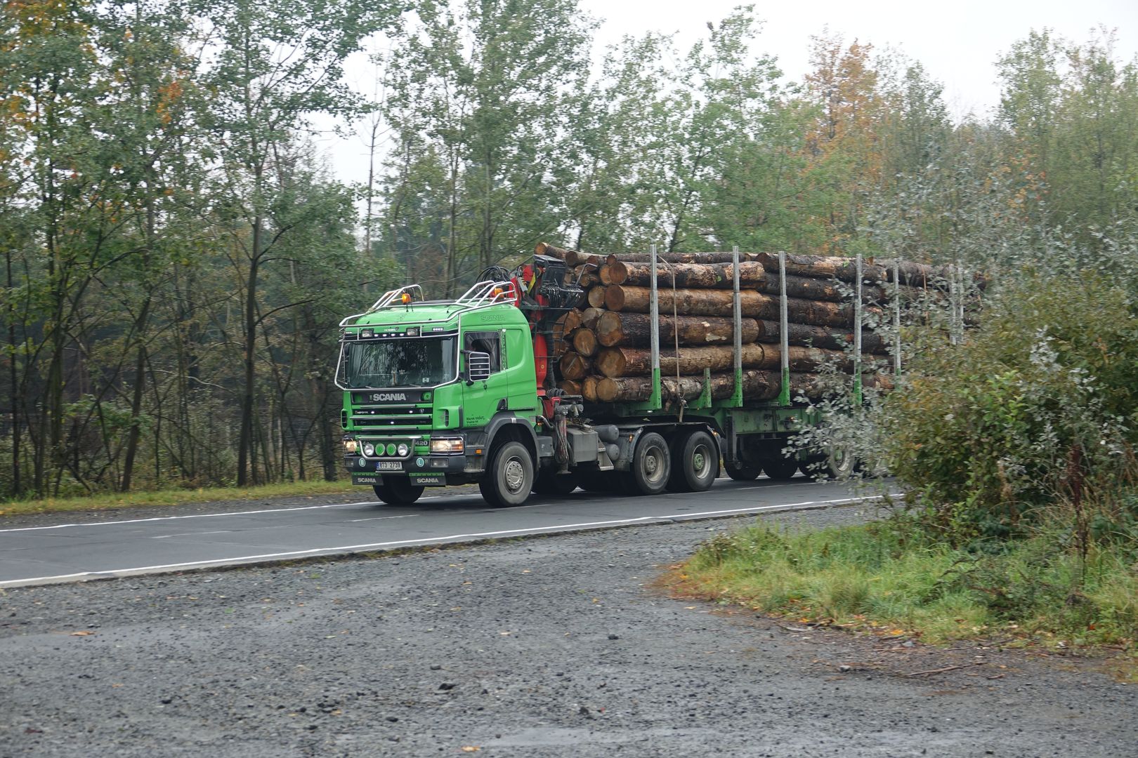 2019_10_09_Hynutí porostů na LS Vítkov (3)