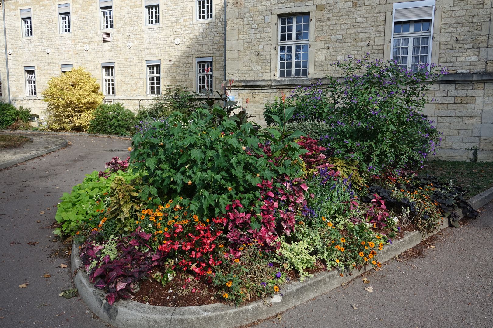 Dijon - areál psychiatrické léčebny  (2)