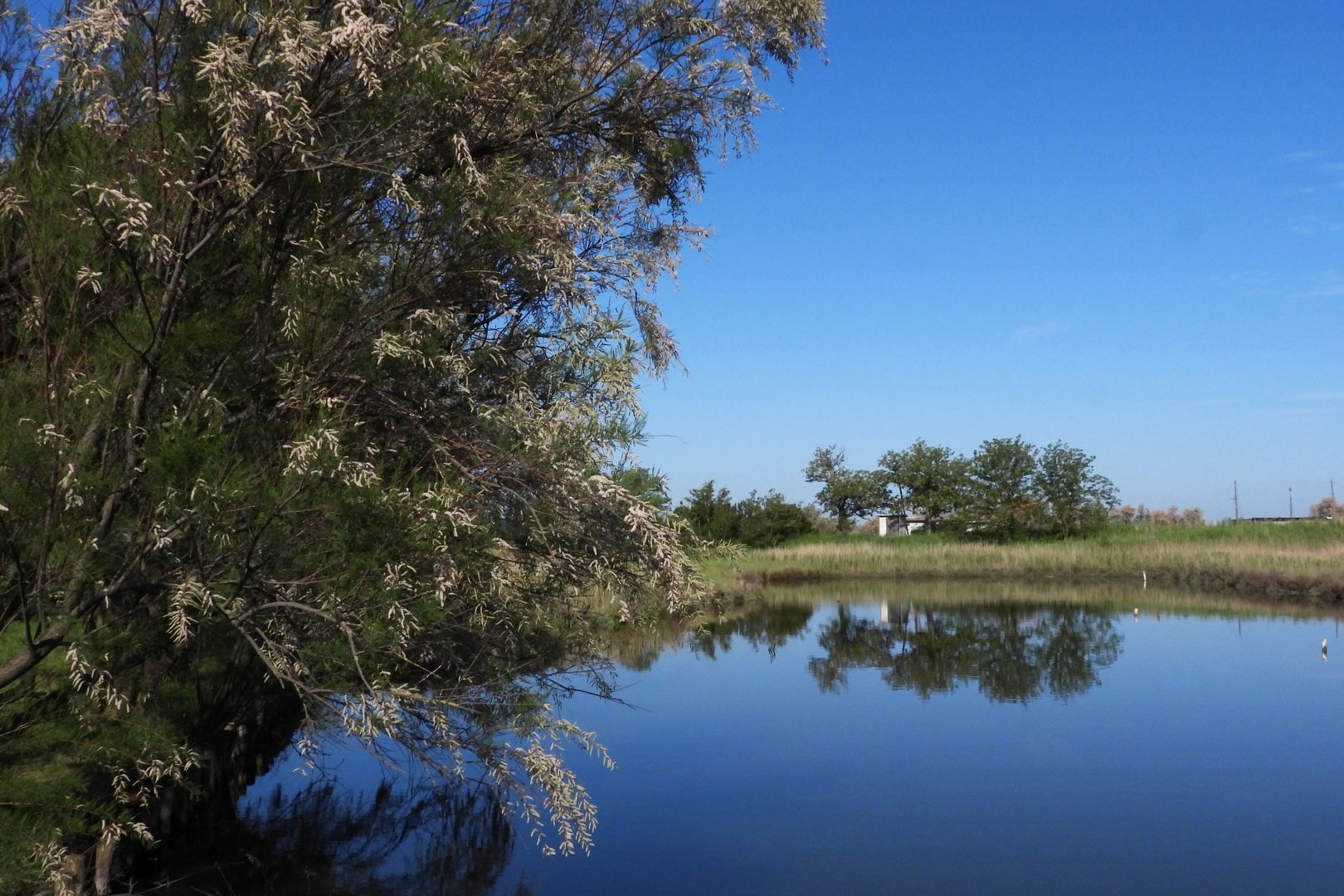 Comacchio (2)