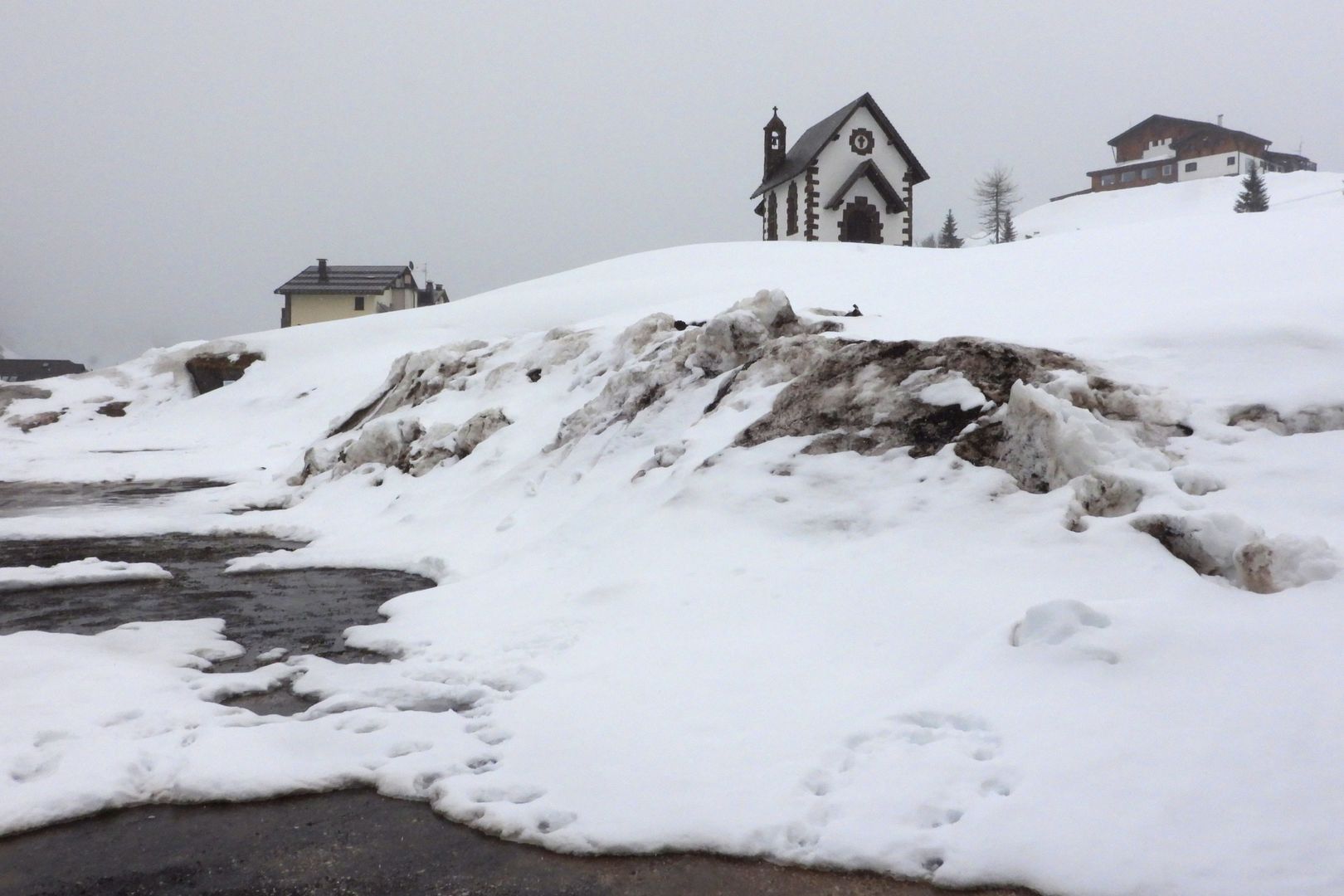 Dolomity_Passo Rolle (3)