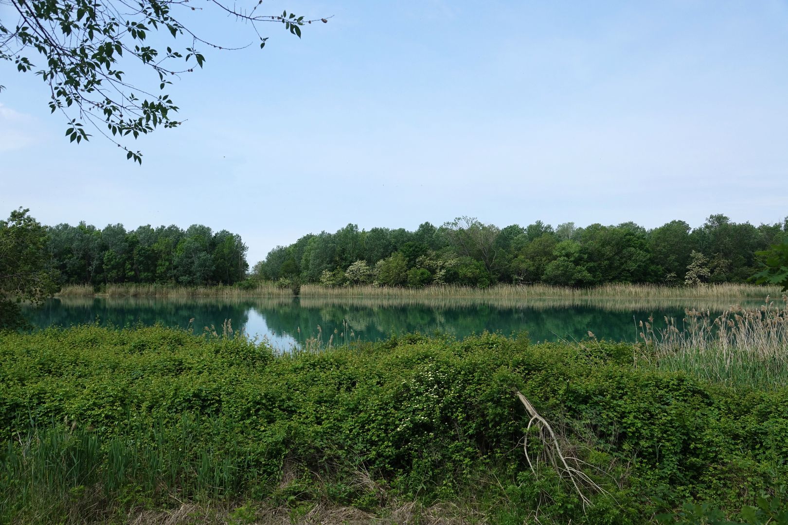 Riserva Naturale Regionale della Foce dell’Isonzo (45)