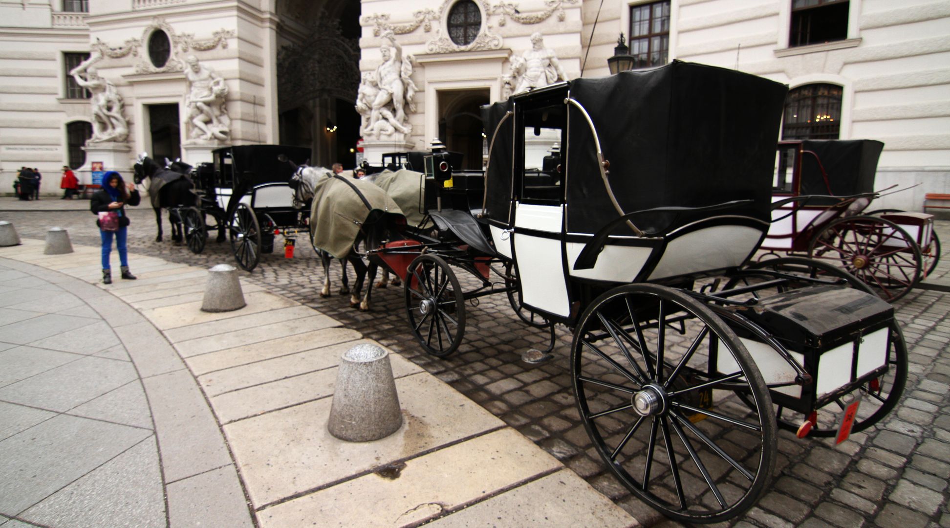 Vídeň_Hofburg_ (2)