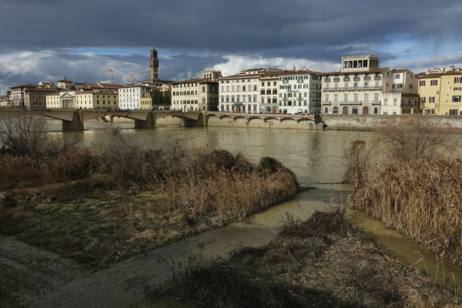 Florencie_birdwatching_Terzo Giardino (2)