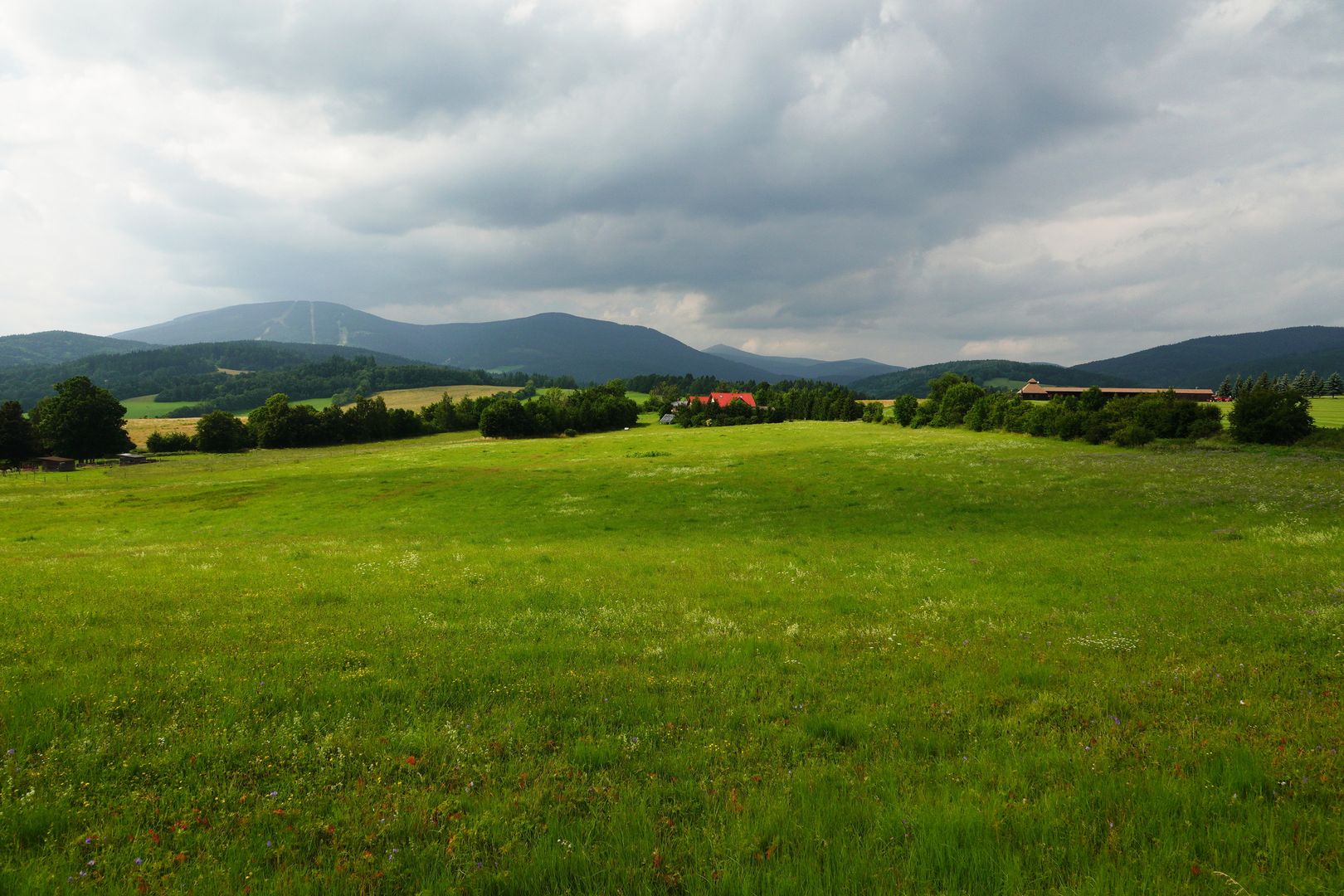 Mladé Buky_Krkonoš od golfu