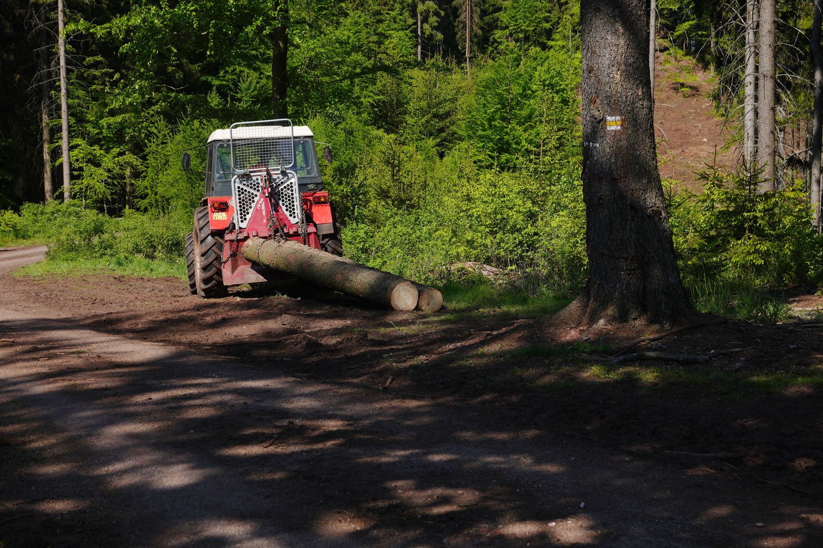 Závěrečné zkoušky Lesní mechanizátor-2021-0015