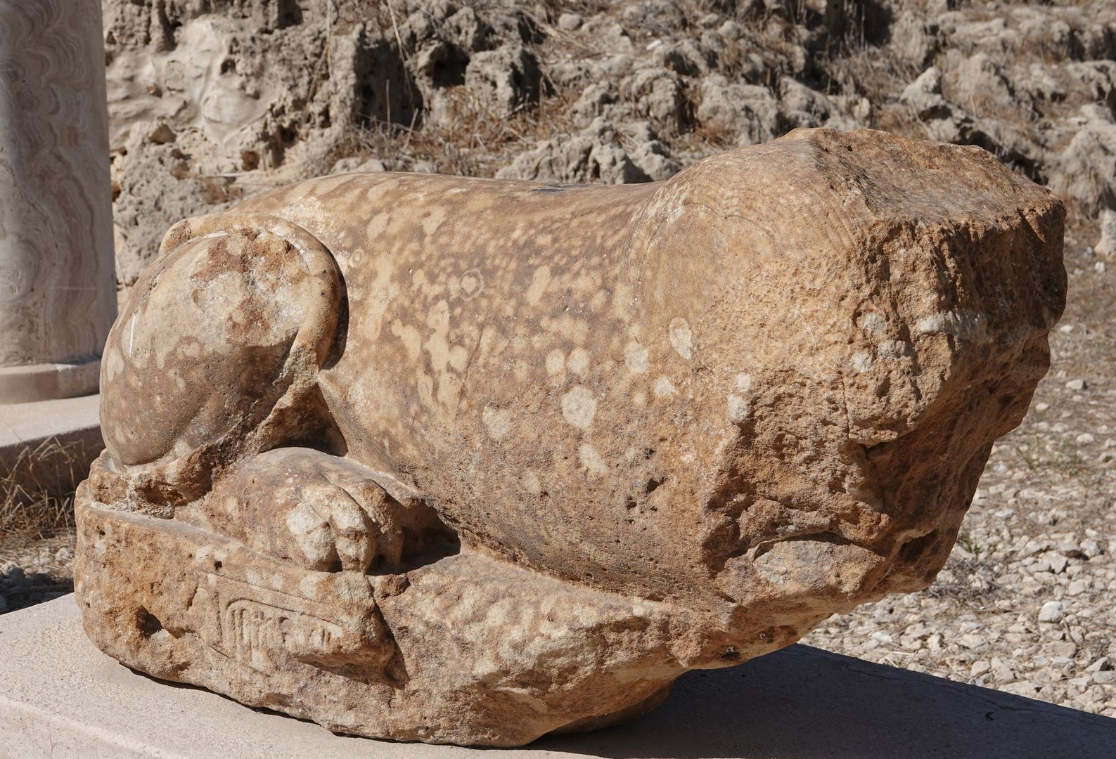 Alexandrie - Serapeum a Pompejův sloup-0016