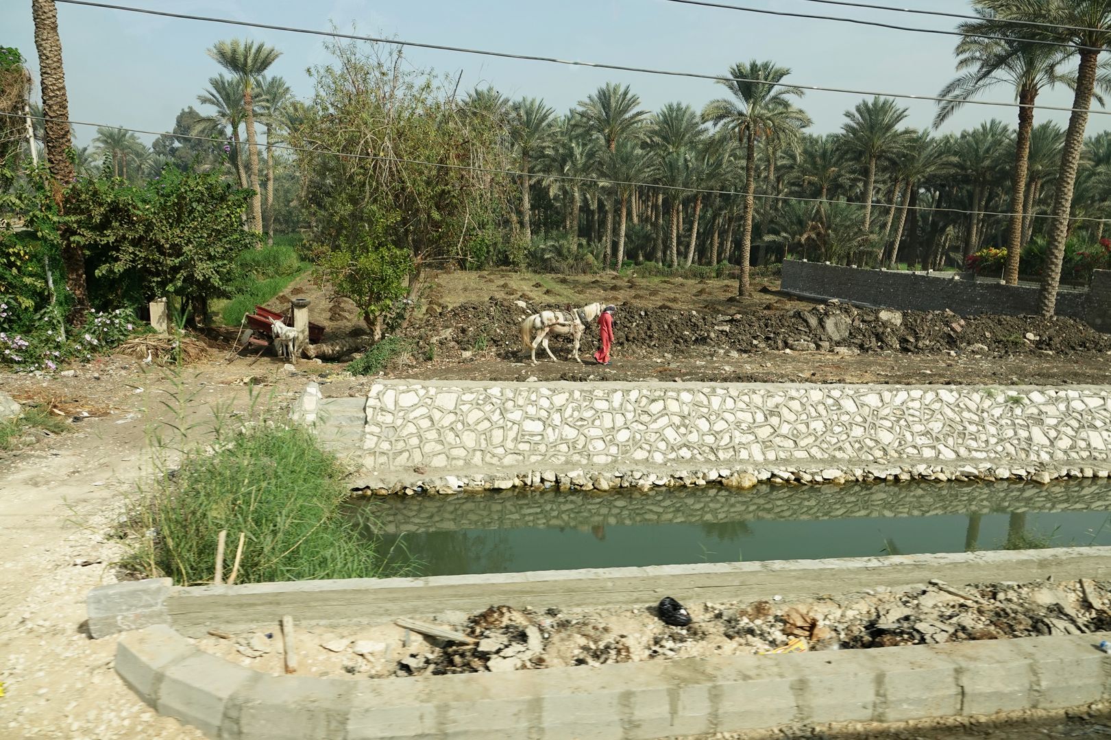 Egypt-zemědělství v údolí Nilu-0006