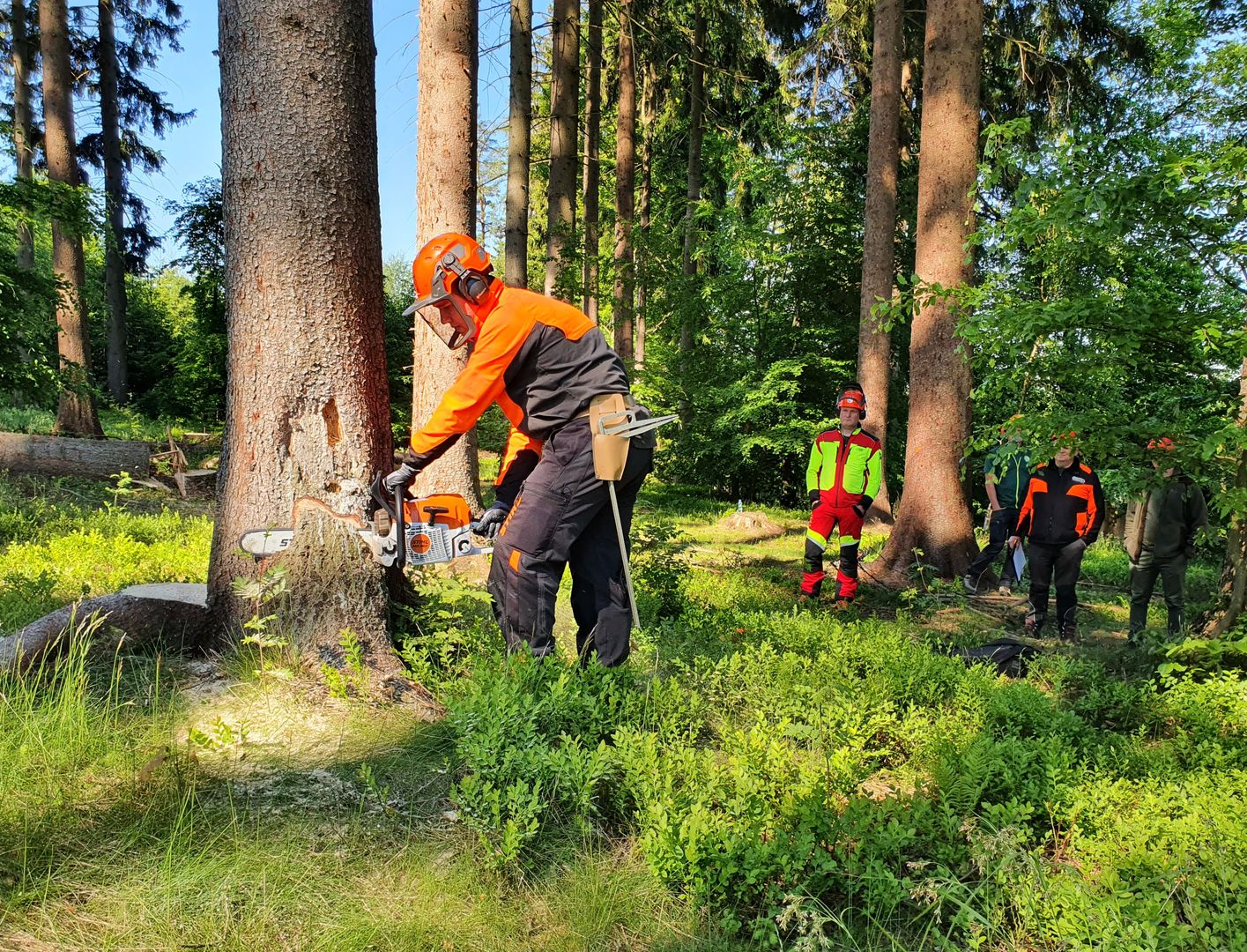 Závěrečné zkoušky_Lesní mechanizátor_2022-0006