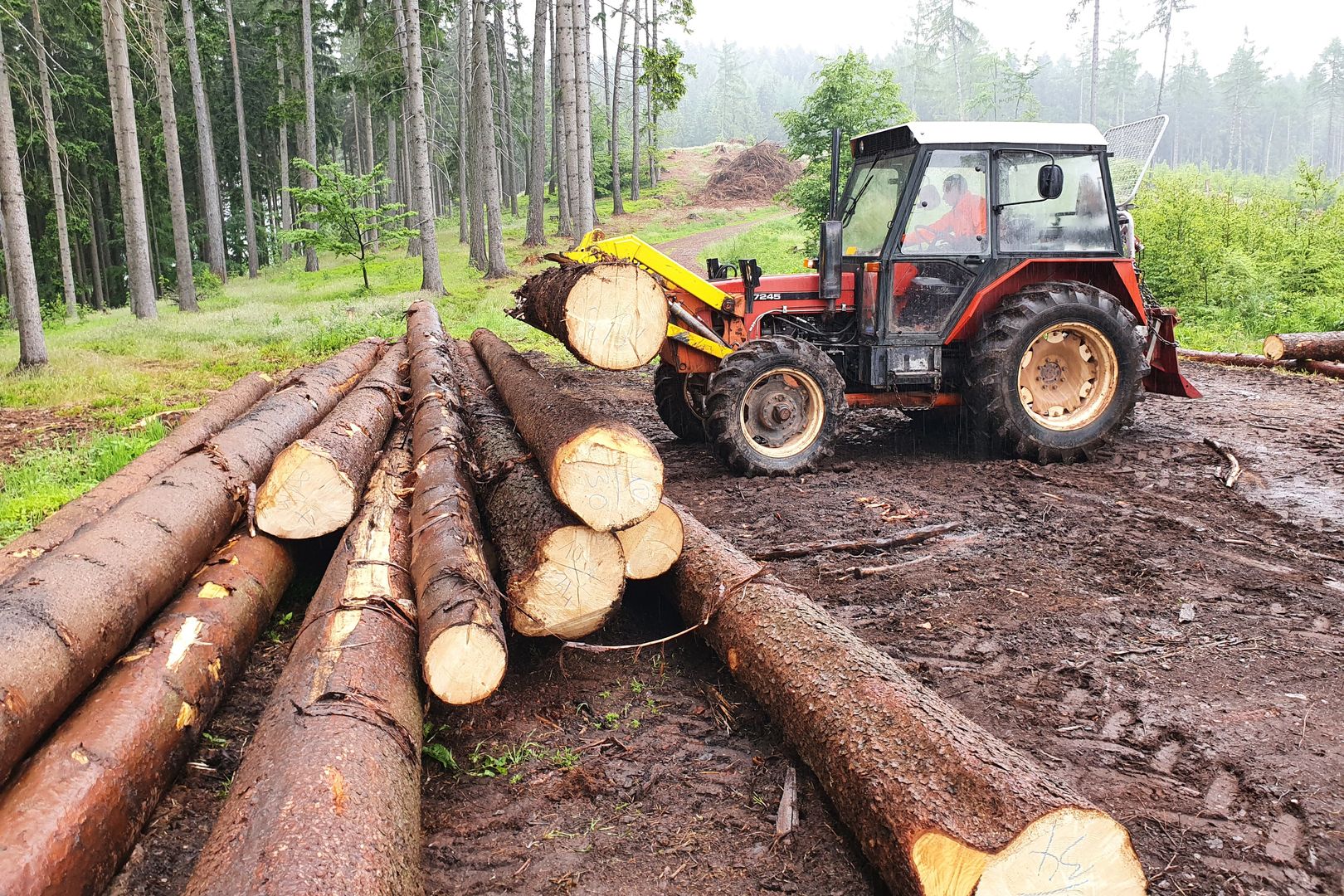 Závěrečné zkoušky_Lesní mechanizátor_2022-0060