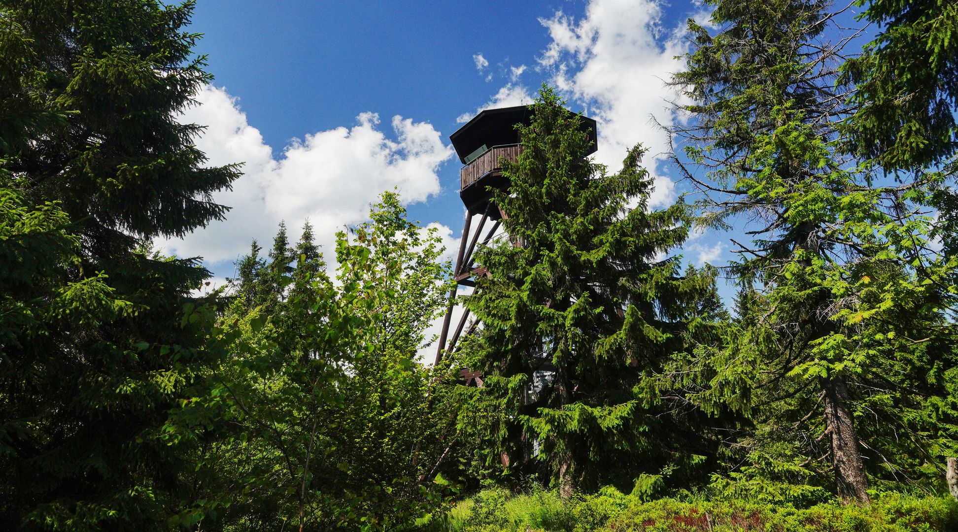 Anenský vrch-rozhledna_07_2022-0001