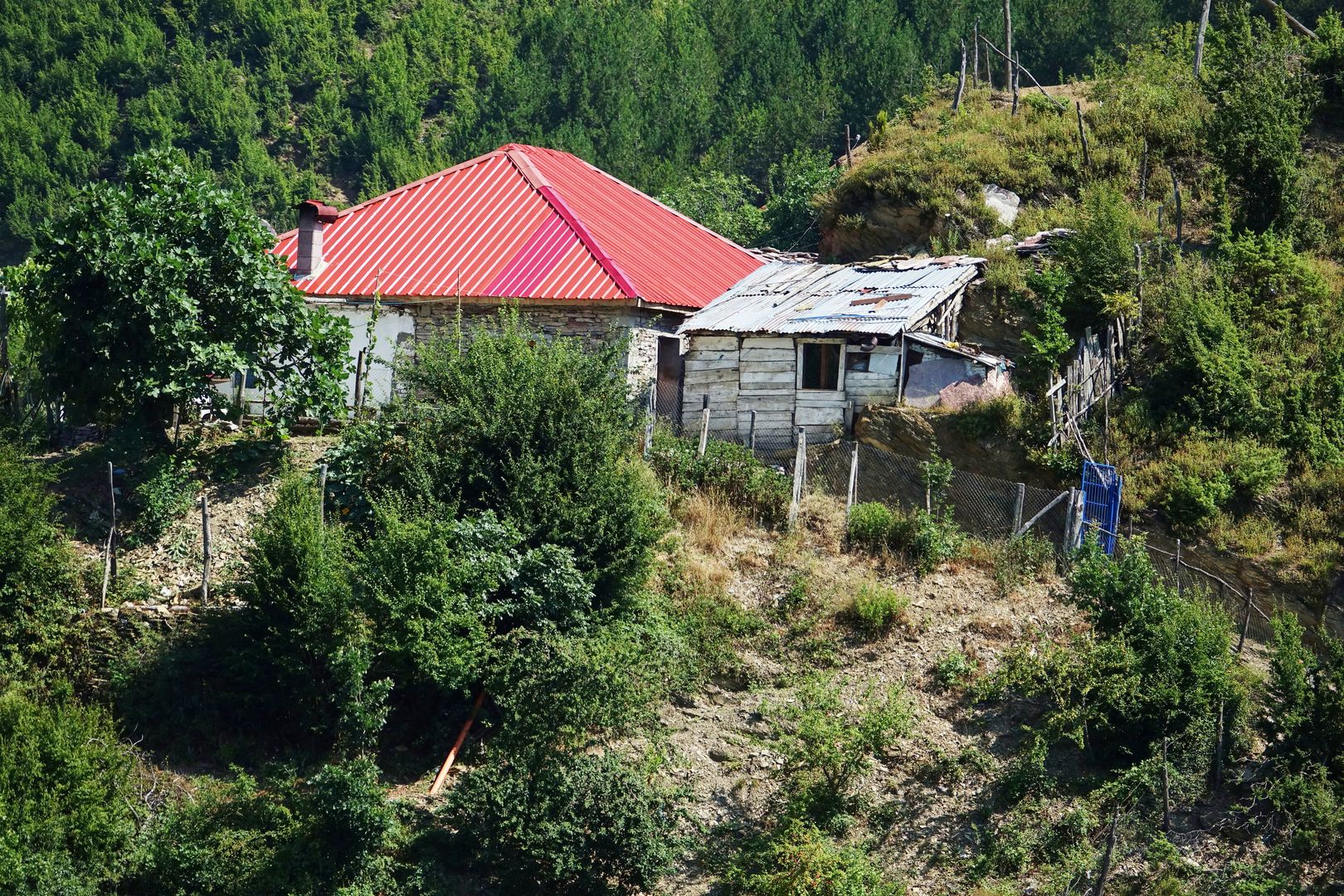 Albánie_plavba po jezeře Komanii-2019-07-0027