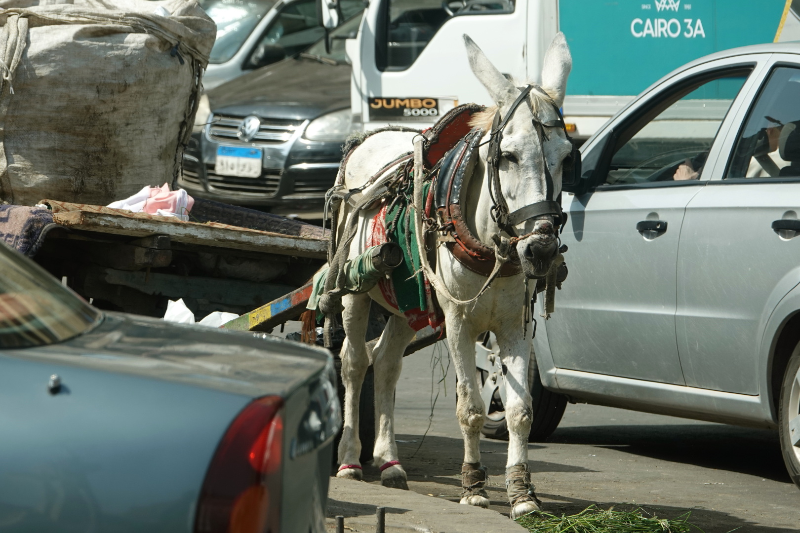 Egypt_Káhira_město a okolí_2022_10_0012