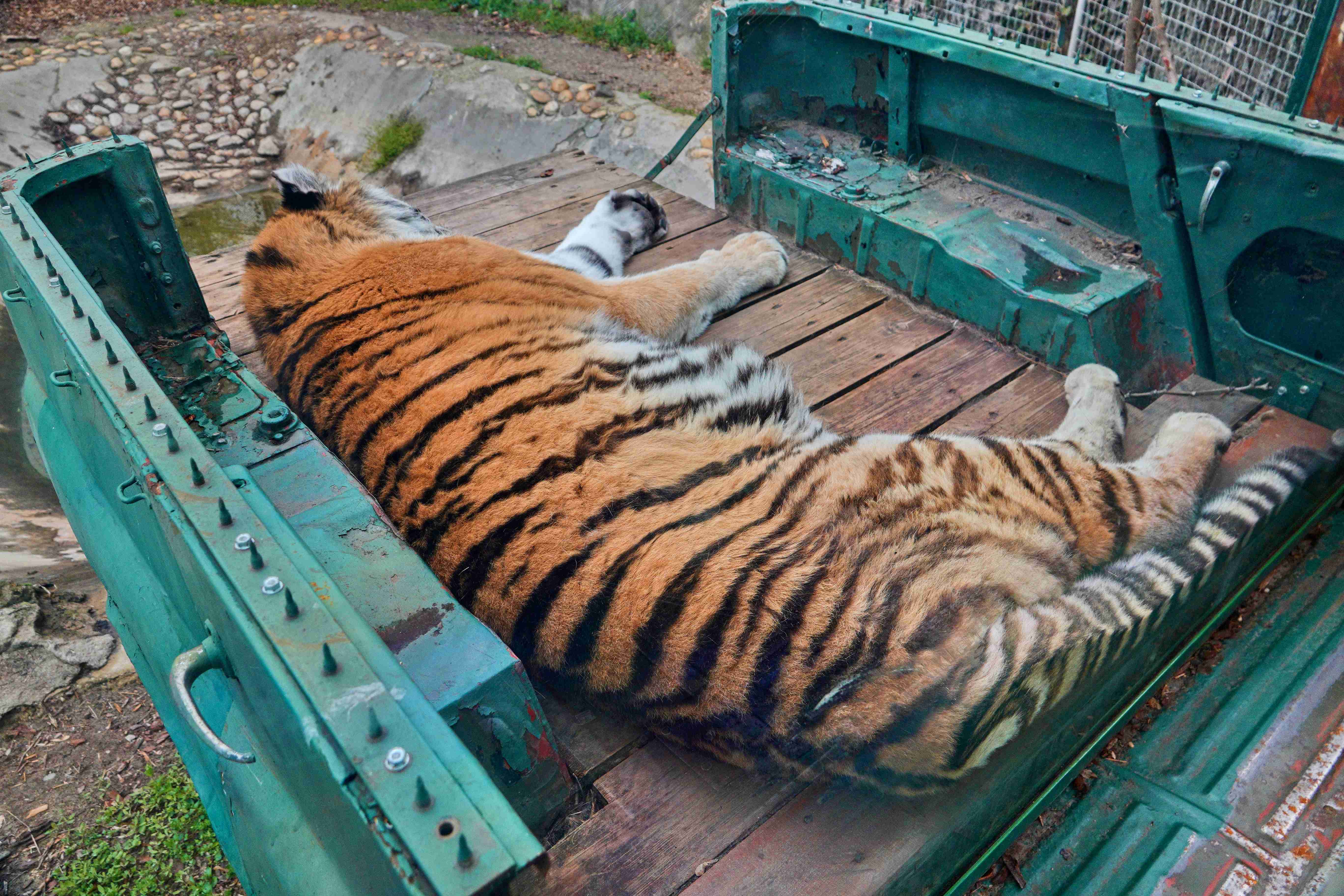 2023_04_07_ZOO Budapest_0036_result