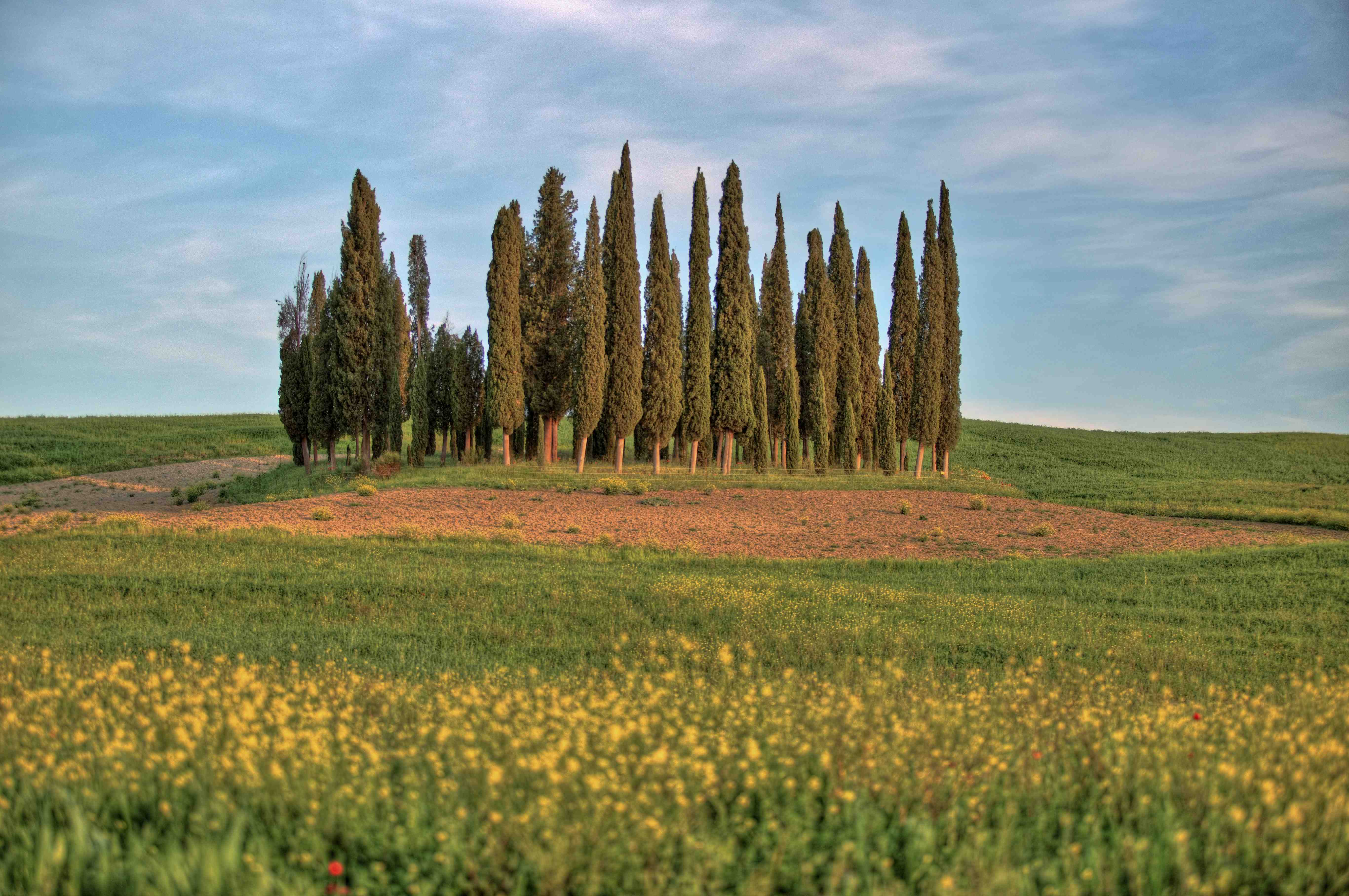 Val d'Orcia_2023_05_0001_result