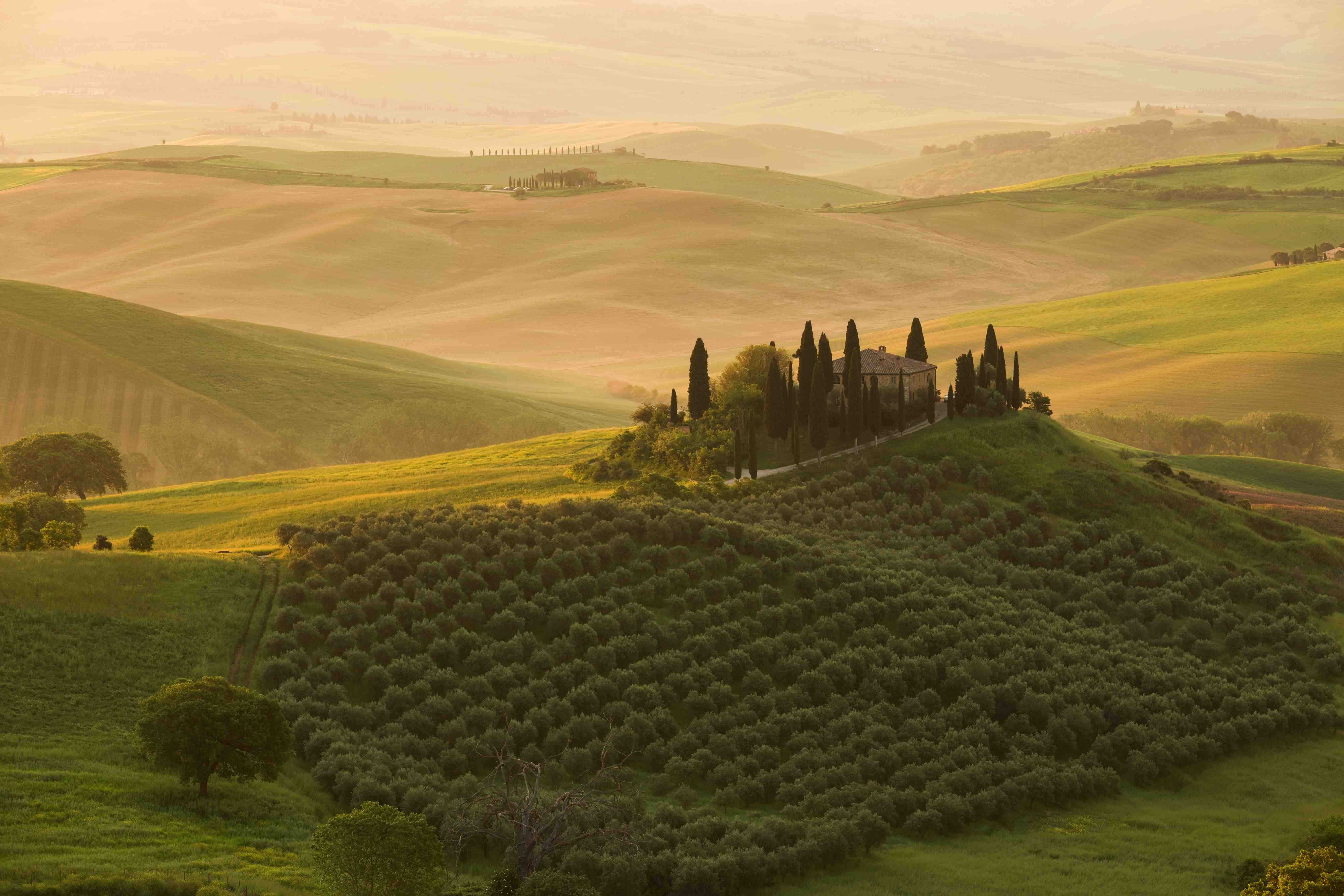 Val d'Orcia_2023_05_0005_result