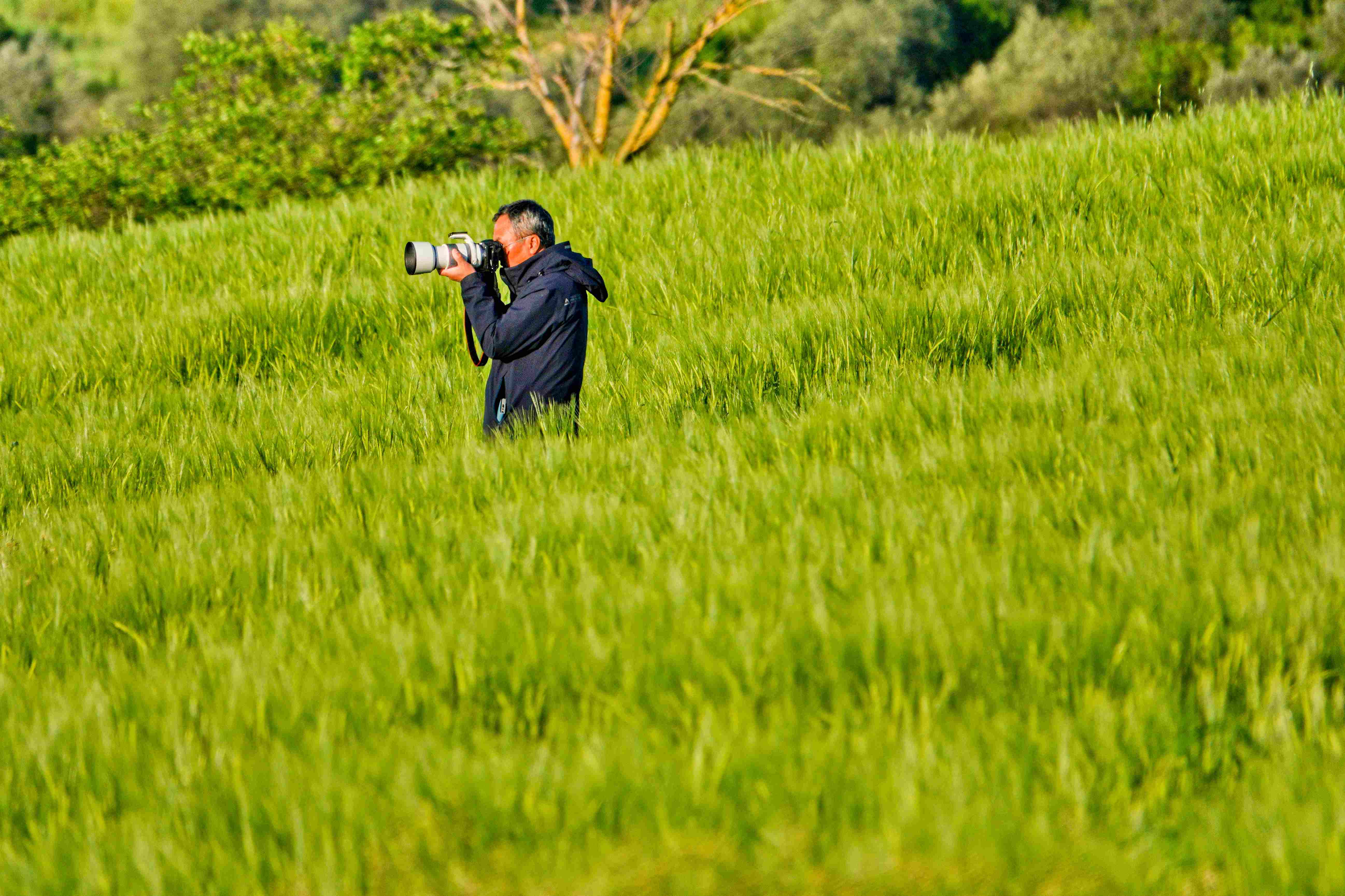 Val d'Orcia_2023_05_0007_2_result