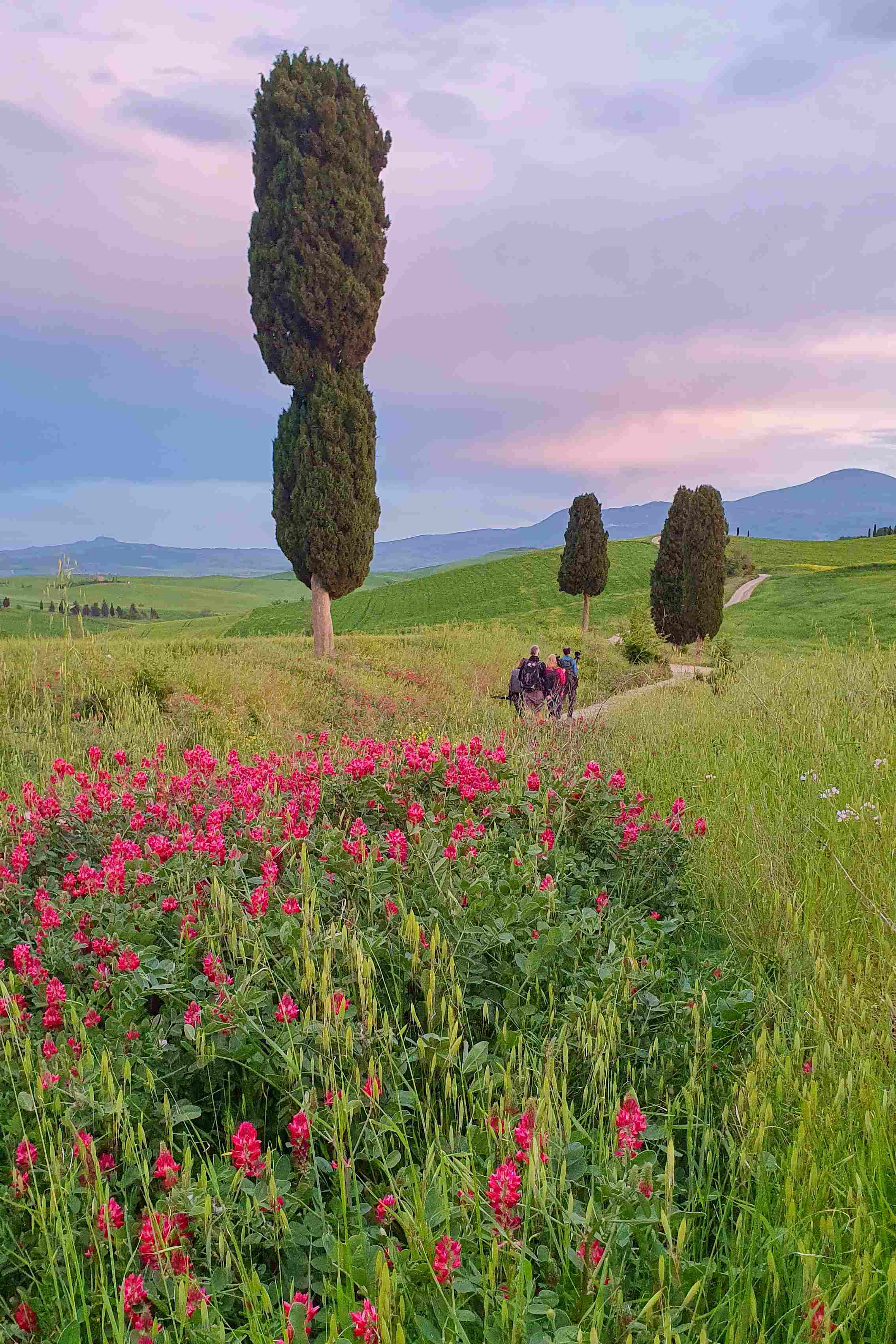 Val d'Orcia_2023_05_0014_2_result