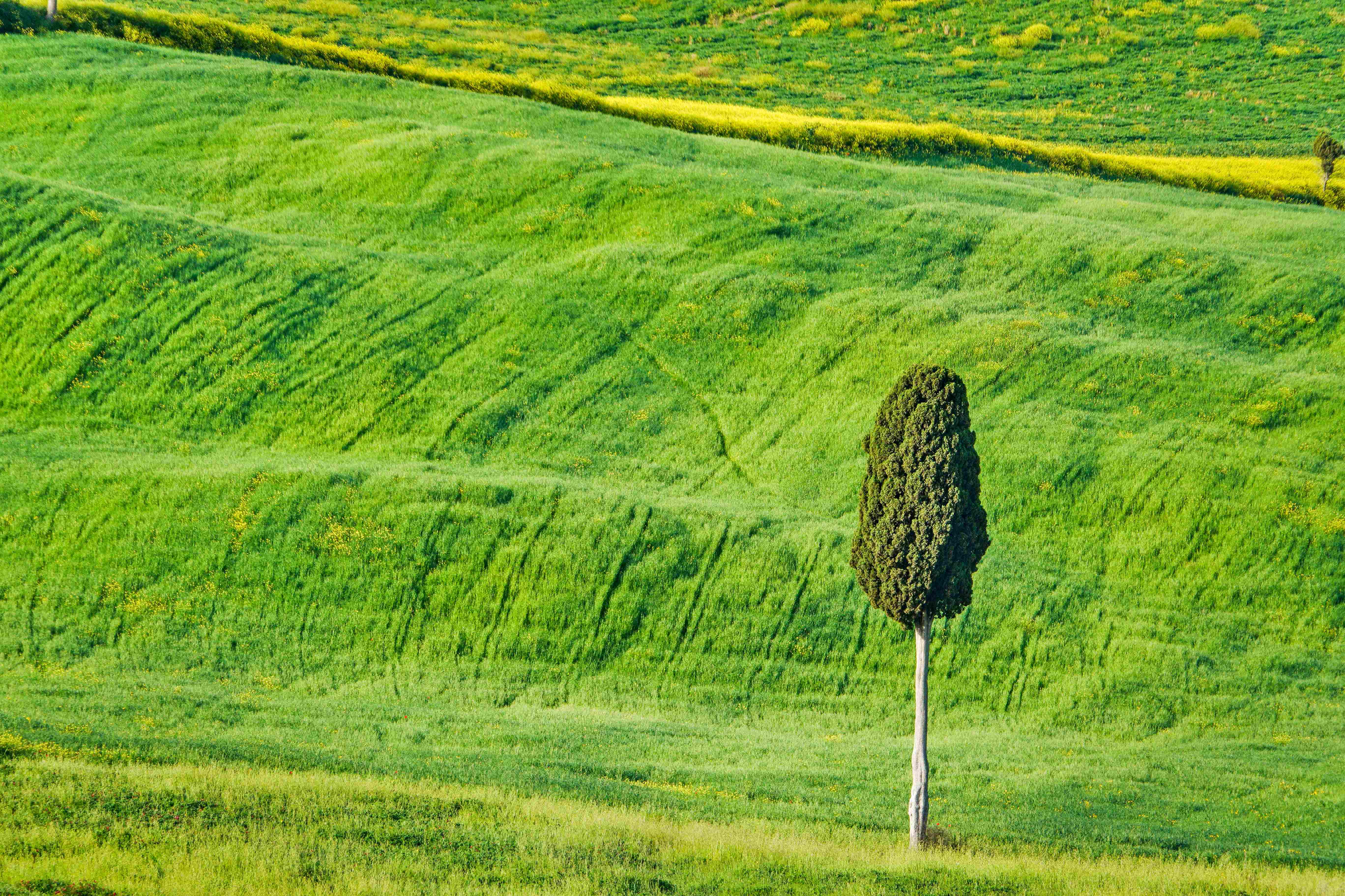 Val d'Orcia_2023_05_0014_3_result