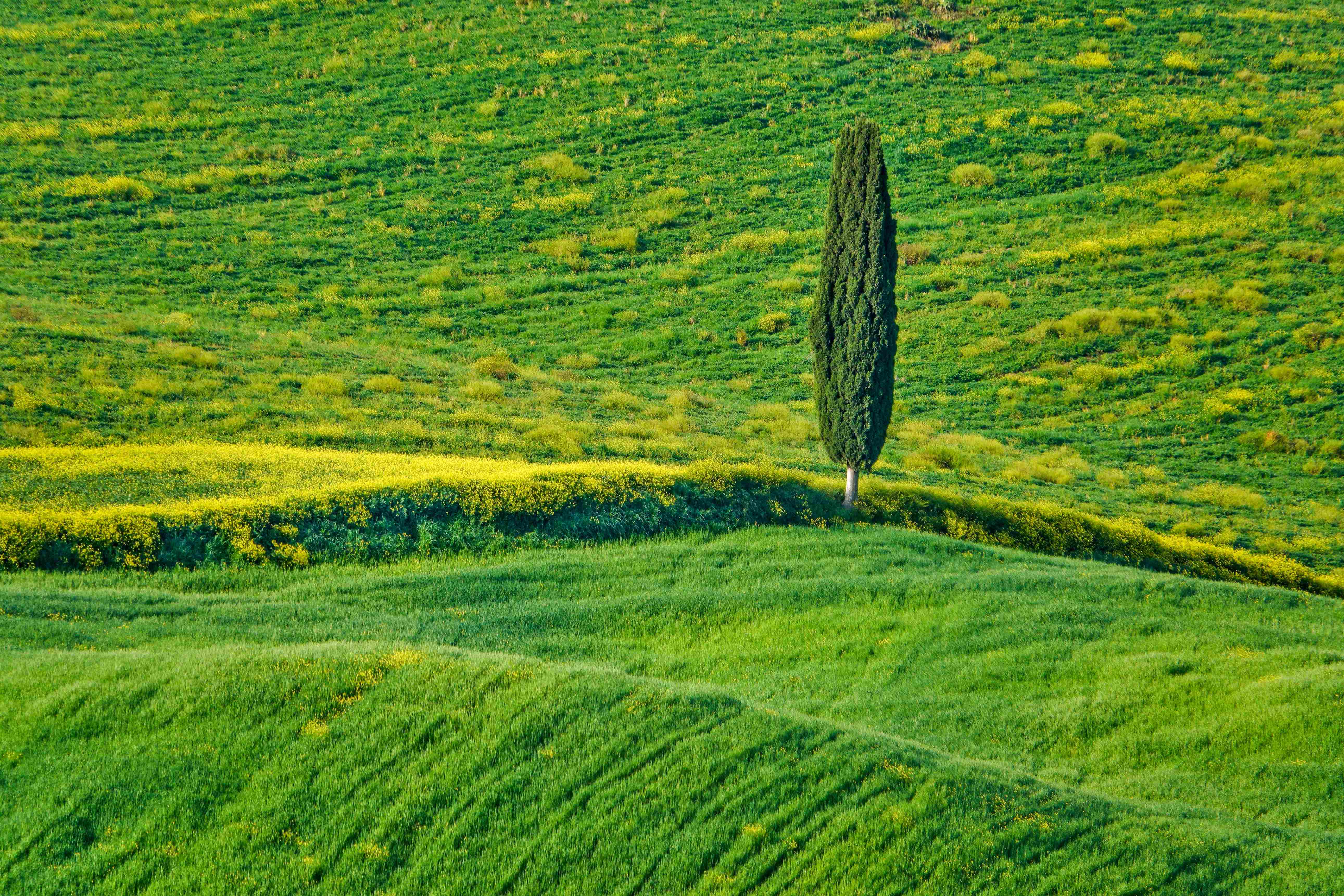 Val d'Orcia_2023_05_0014_4_result