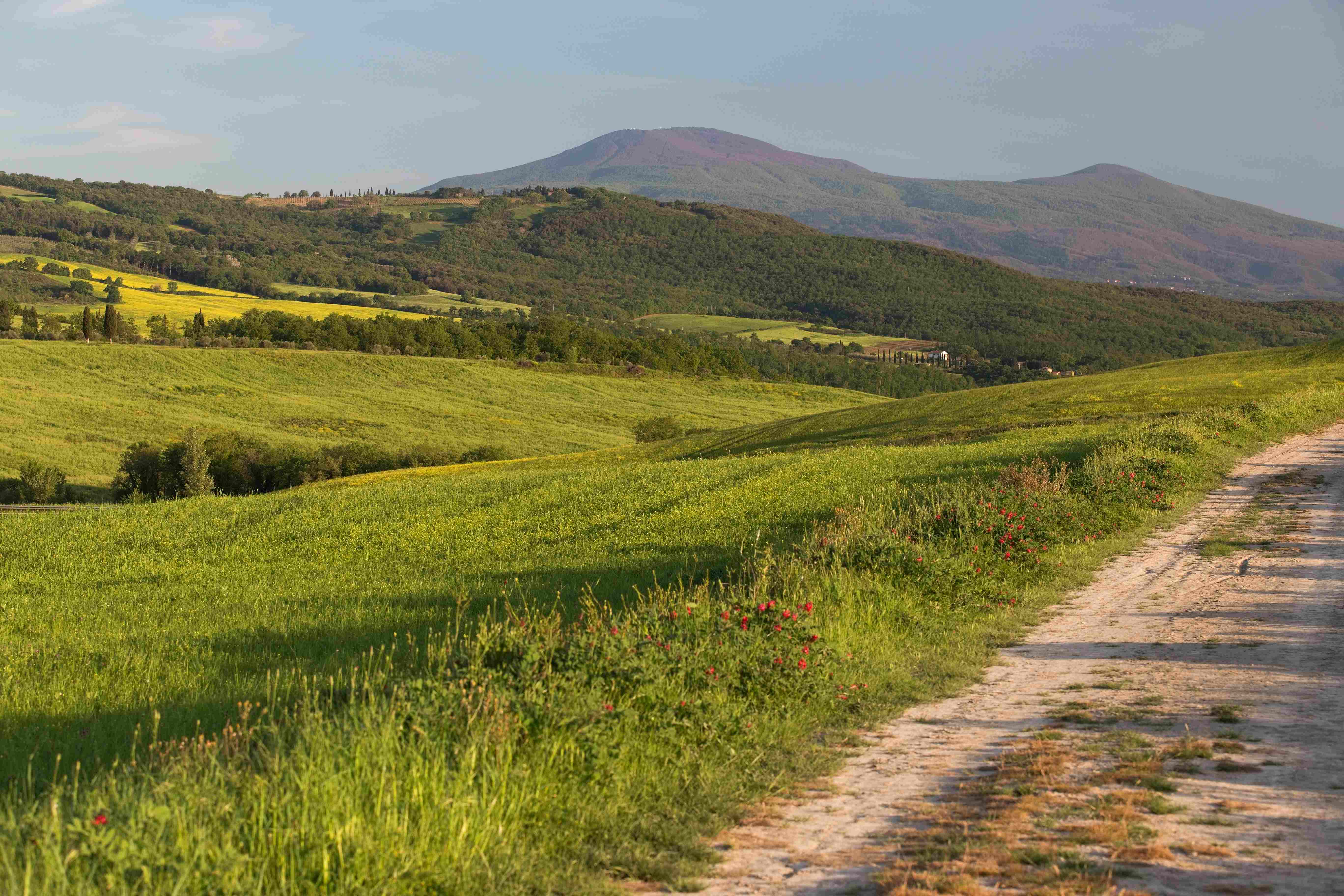 Val d'Orcia_2023_05_0014_7_result