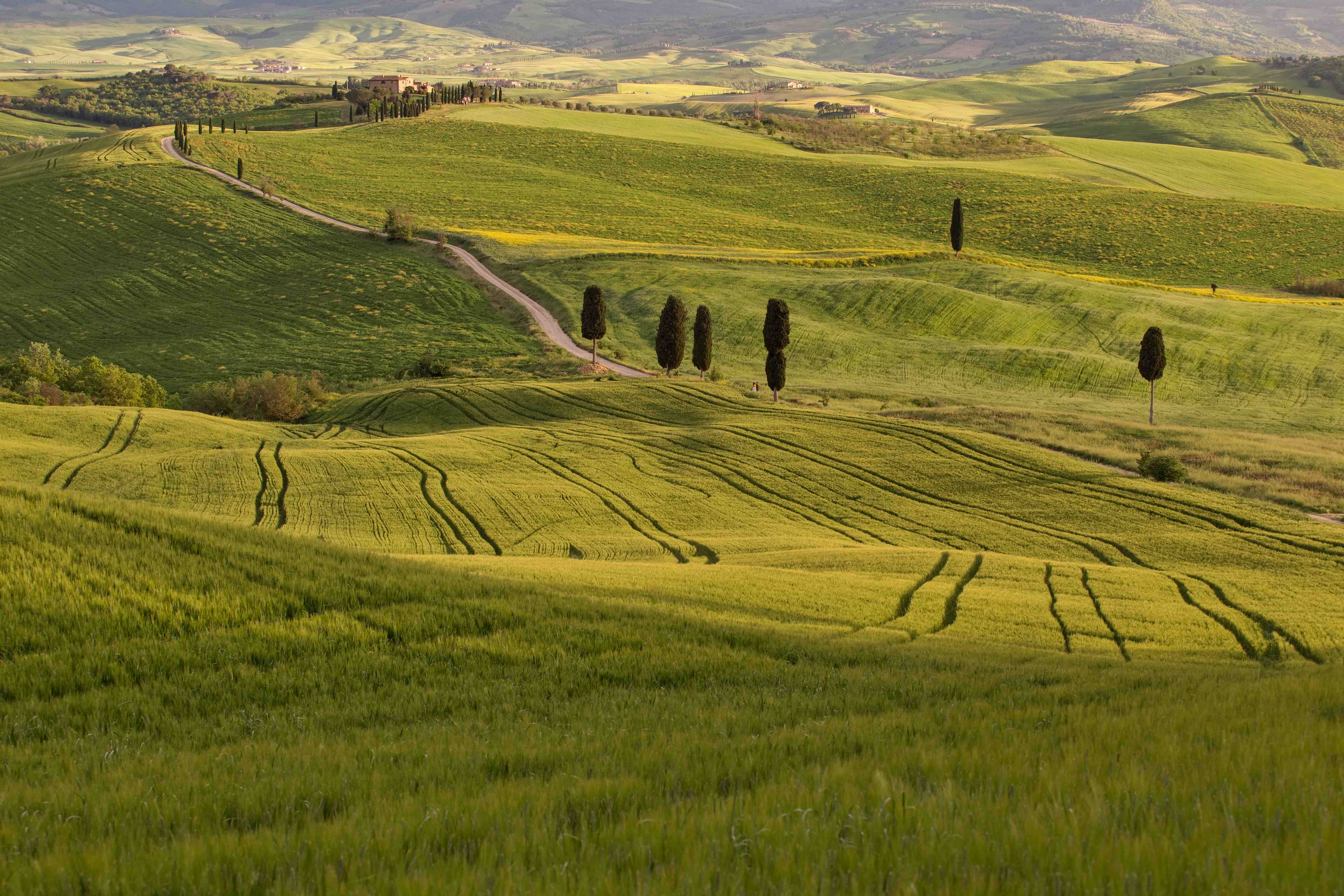 Val d'Orcia_2023_05_0014_result