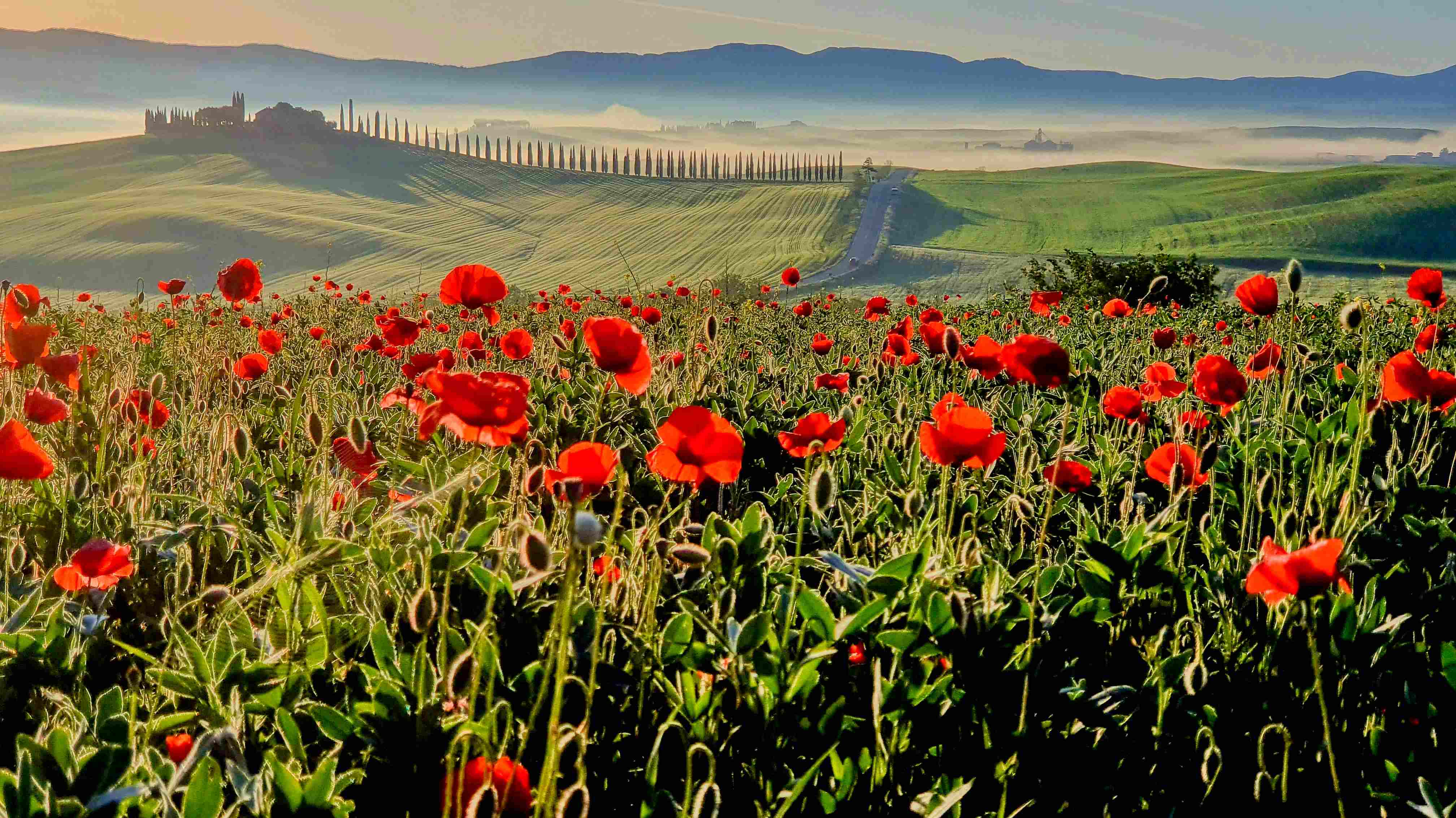 Val d'Orcia_2023_05_0016_1_result