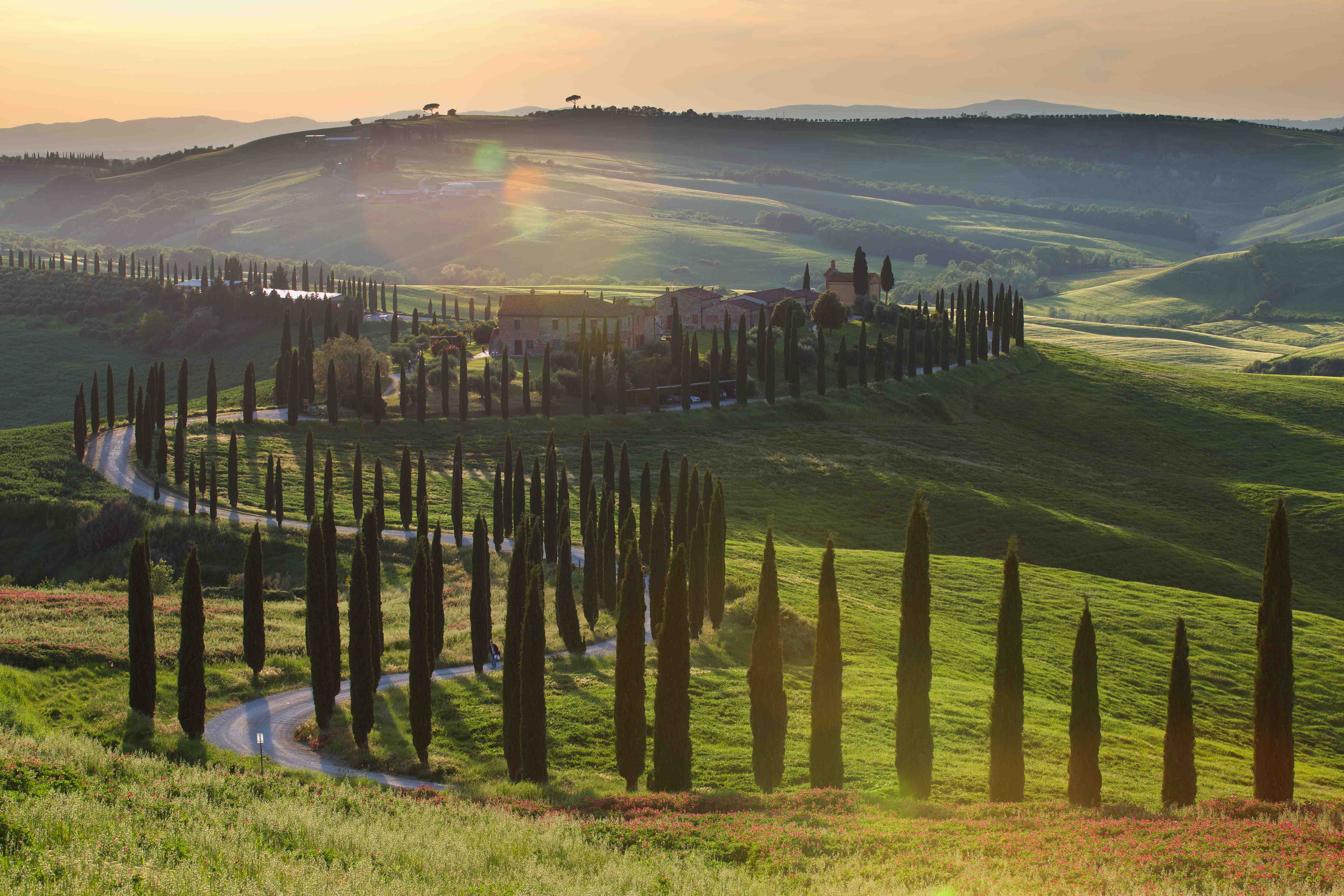 Val d'Orcia_2023_05_0024_result