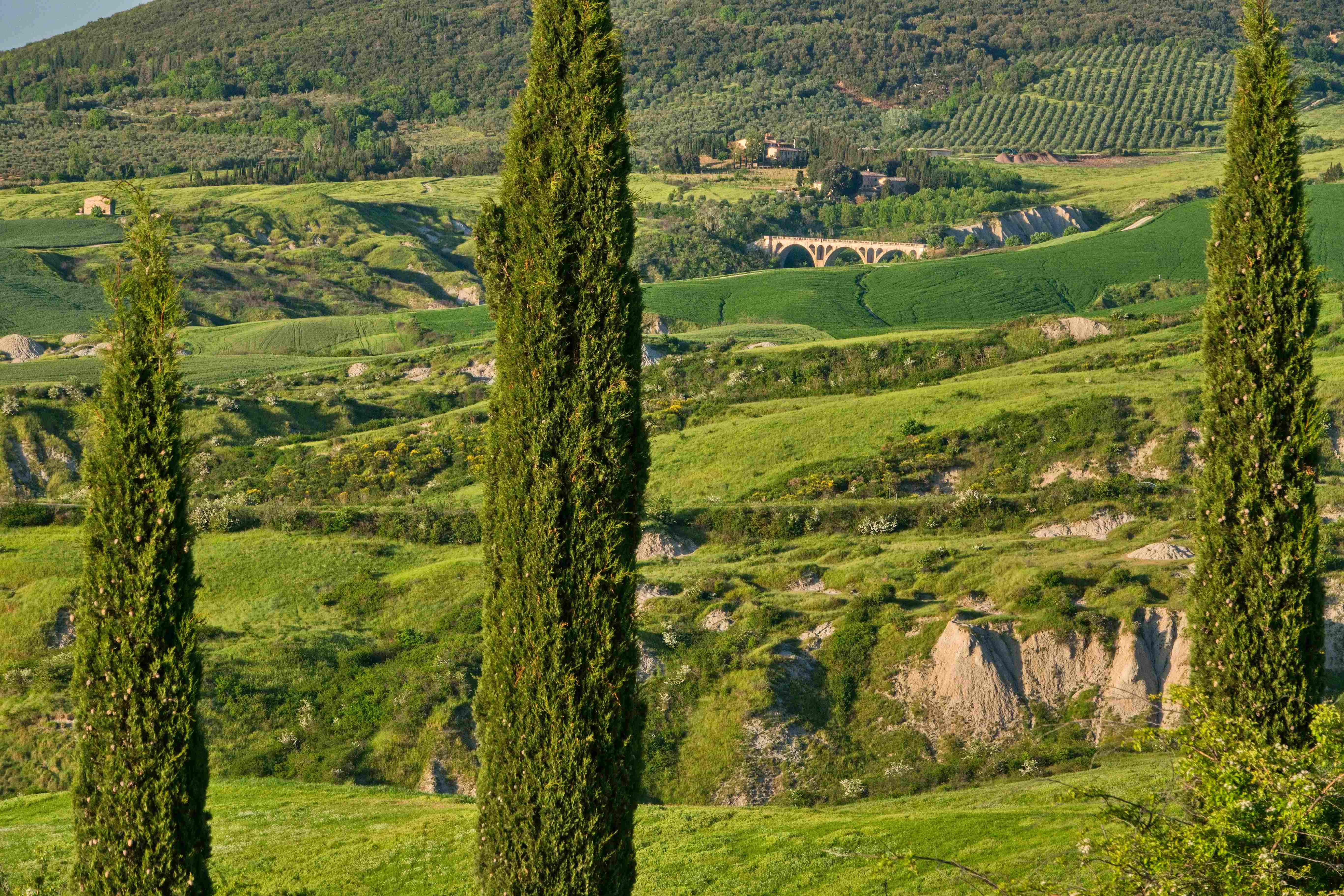 Val d'Orcia_2023_05_0025_1_result