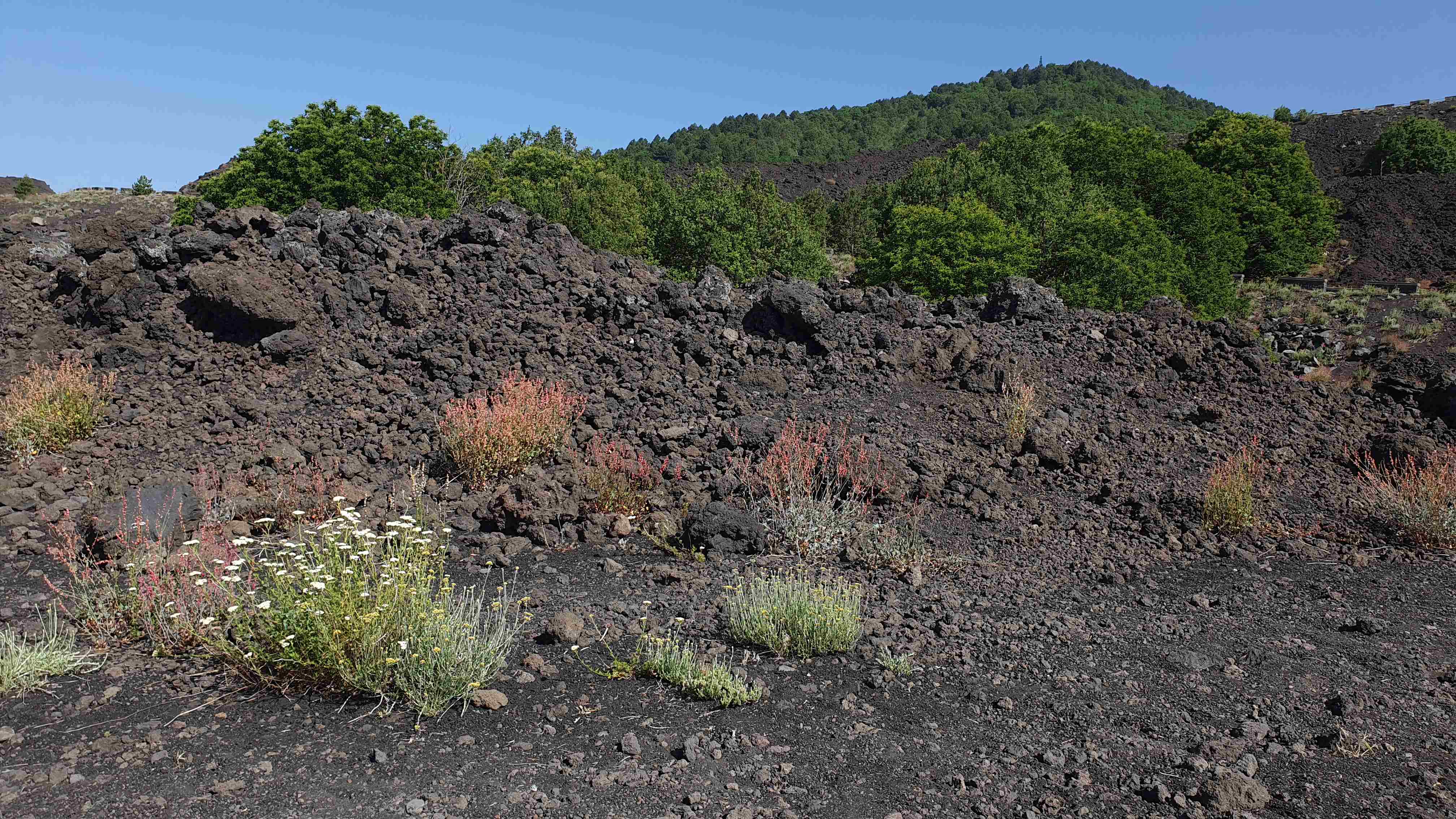 Sicílie_Etna_2023_07_009_result