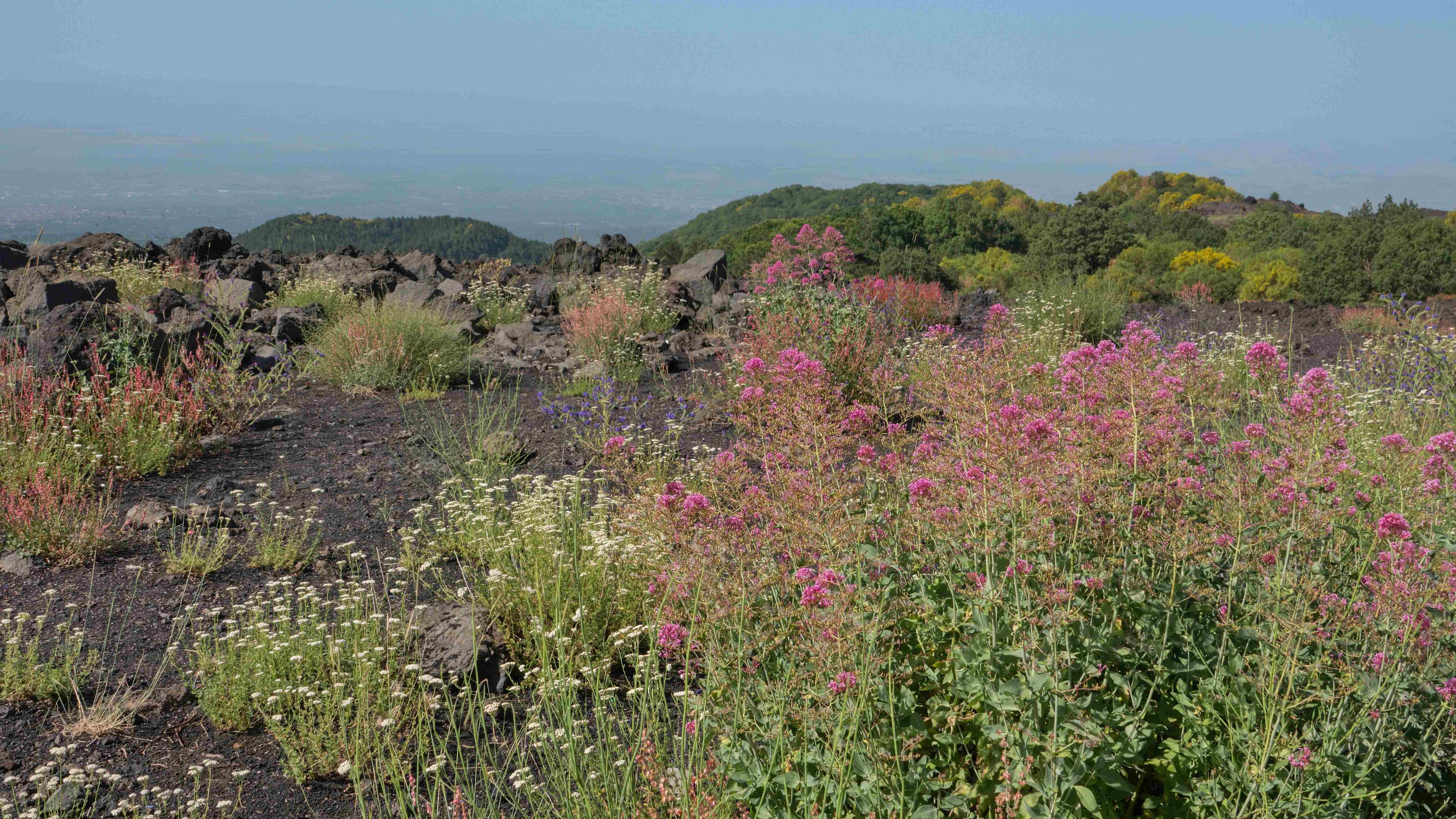 Sicílie_Etna_2023_07_015_result