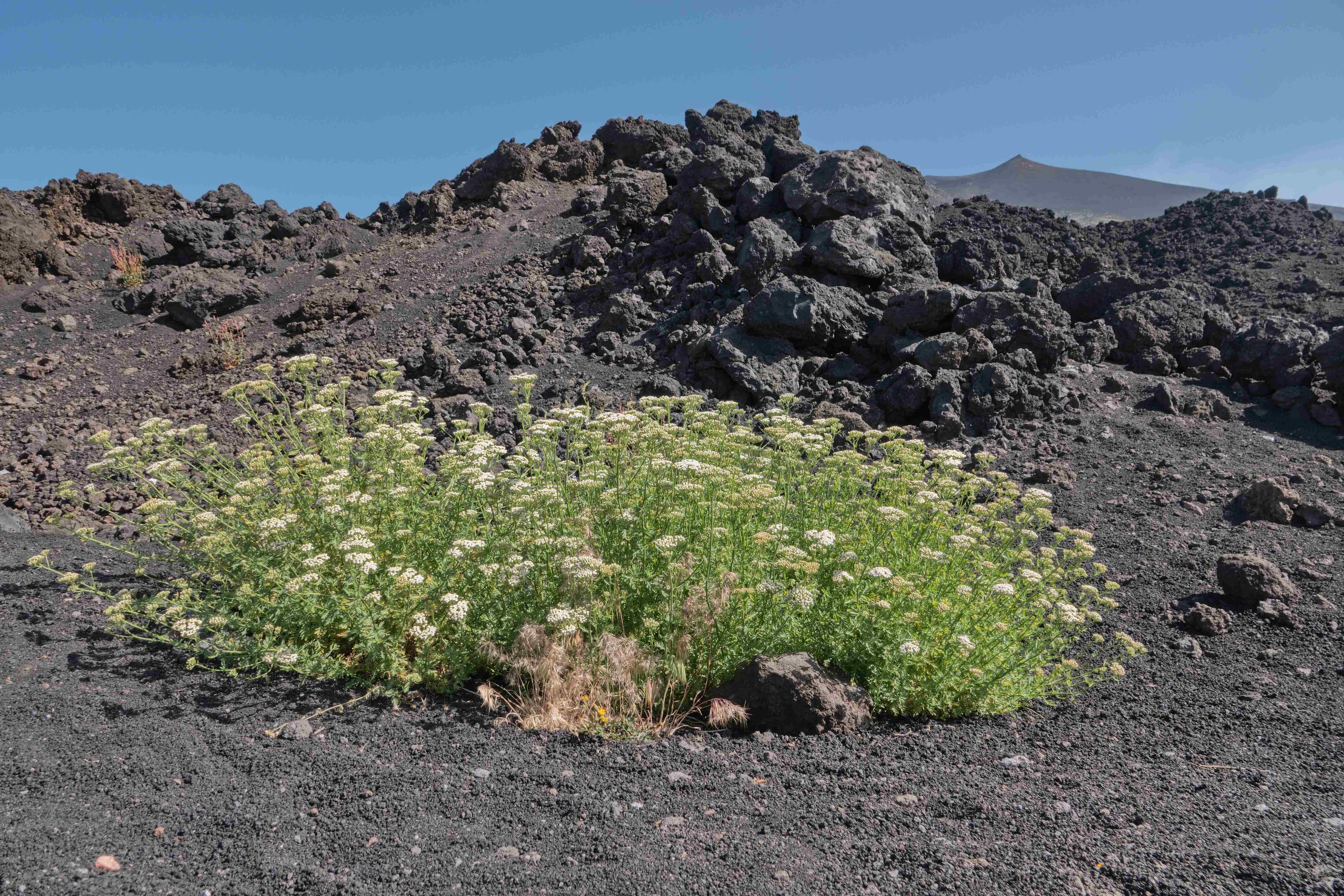 Sicílie_Etna_2023_07_040_result