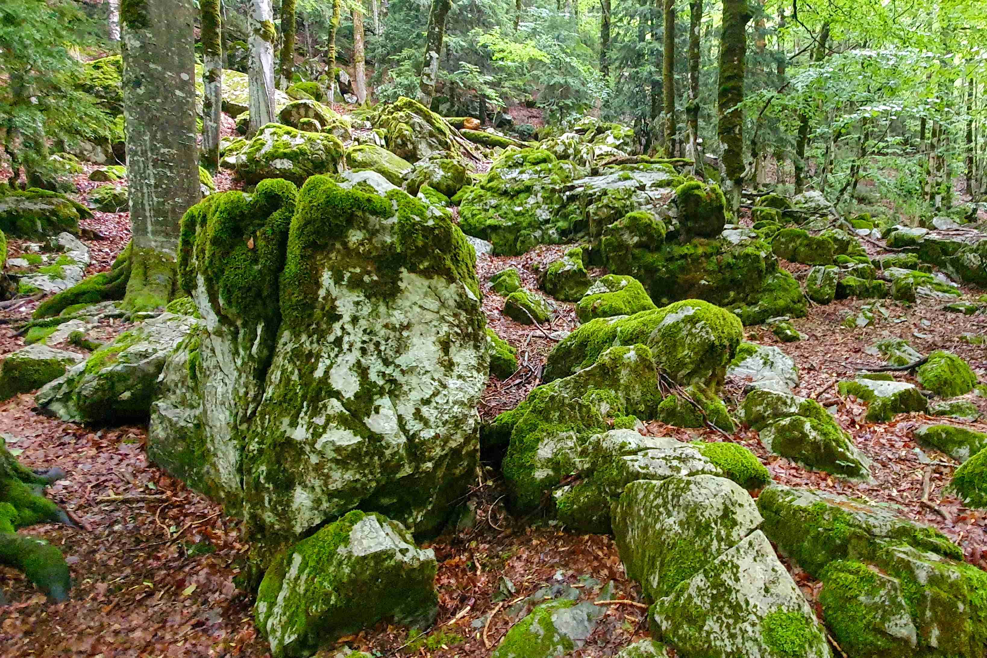 Španělsko_NP Ordesa_20252_07_034_result