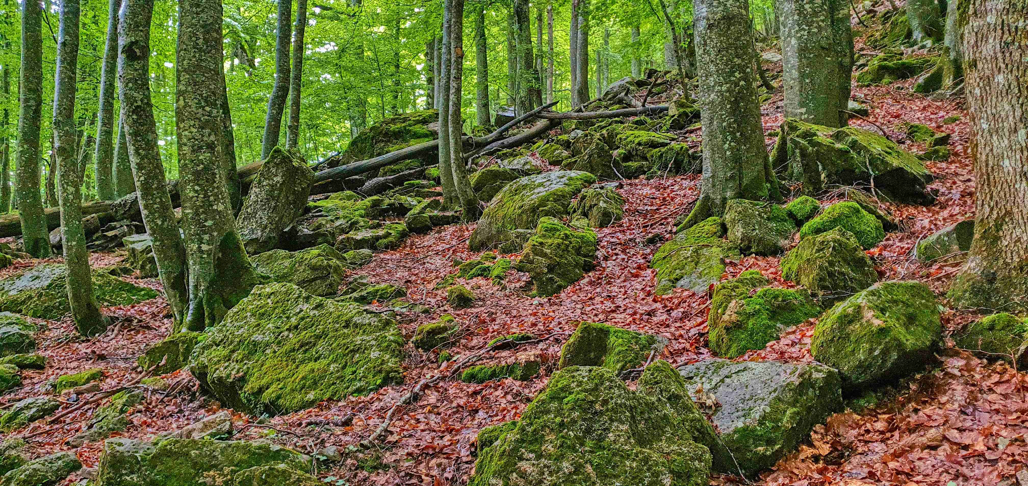 Španělsko_NP Ordesa_20252_07_040_result