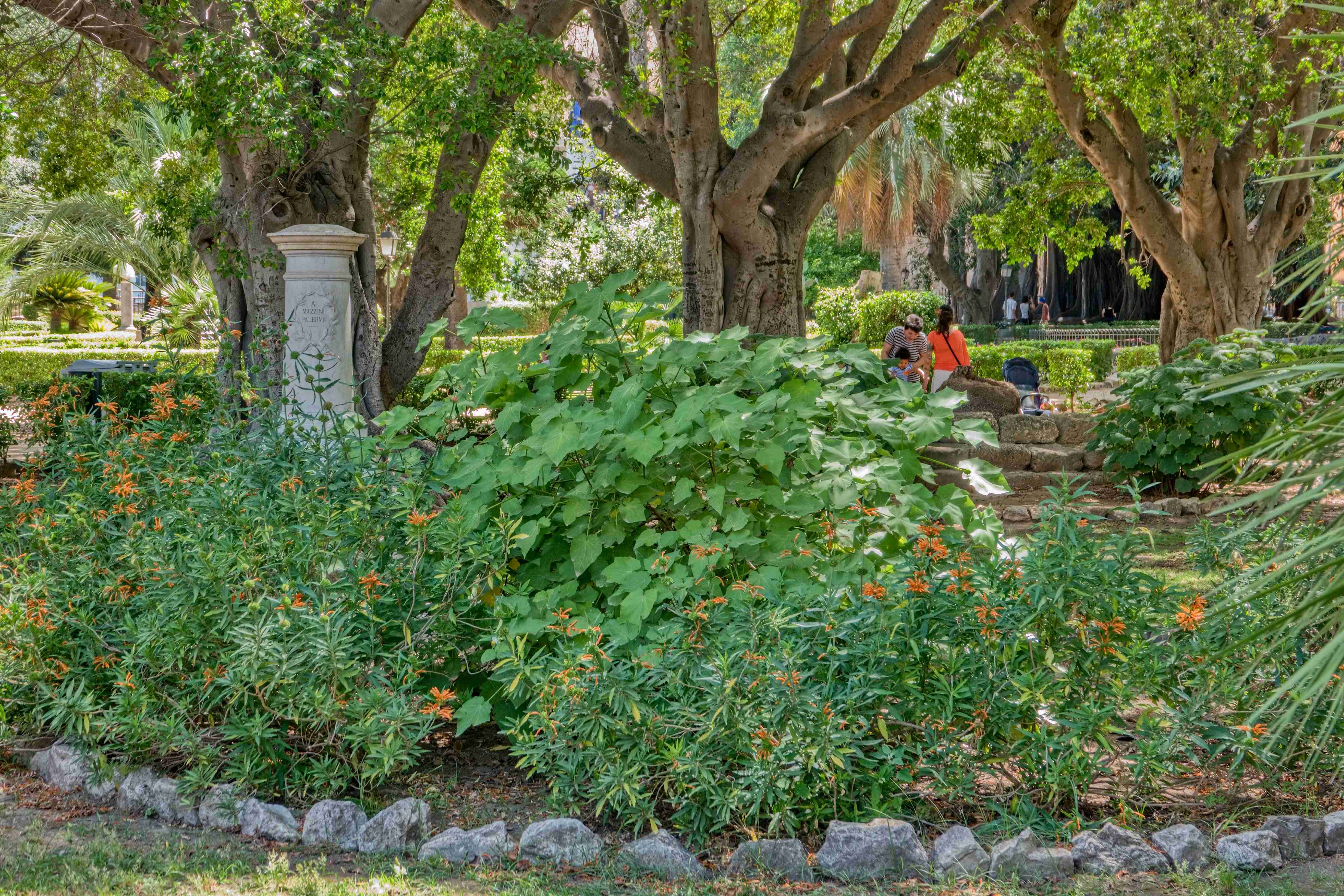 Itálie_Sicílie_Palermo_2023_07_Giardino Garibaldi (001)_result