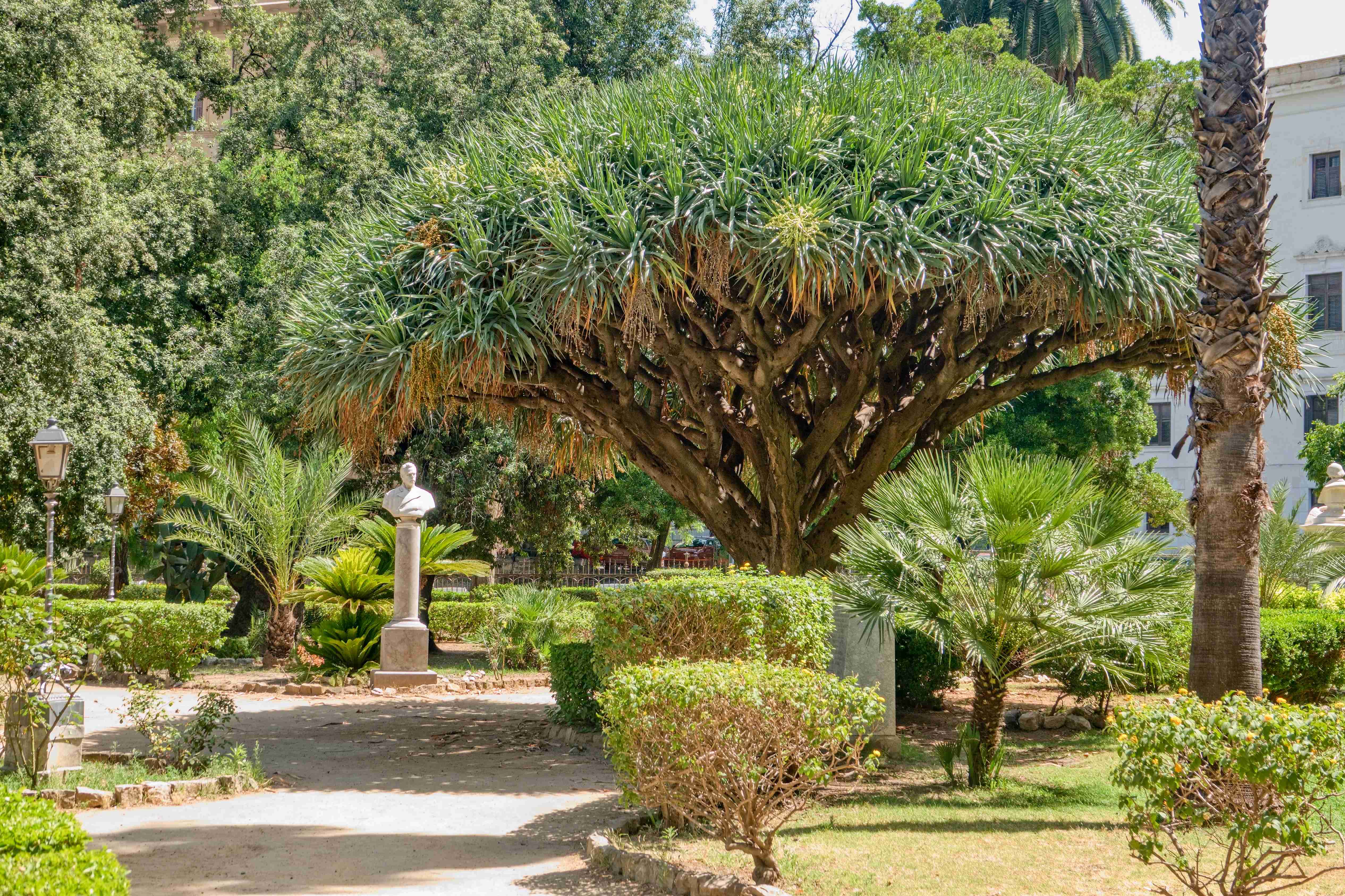 Itálie_Sicílie_Palermo_2023_07_Giardino Garibaldi (003)_result