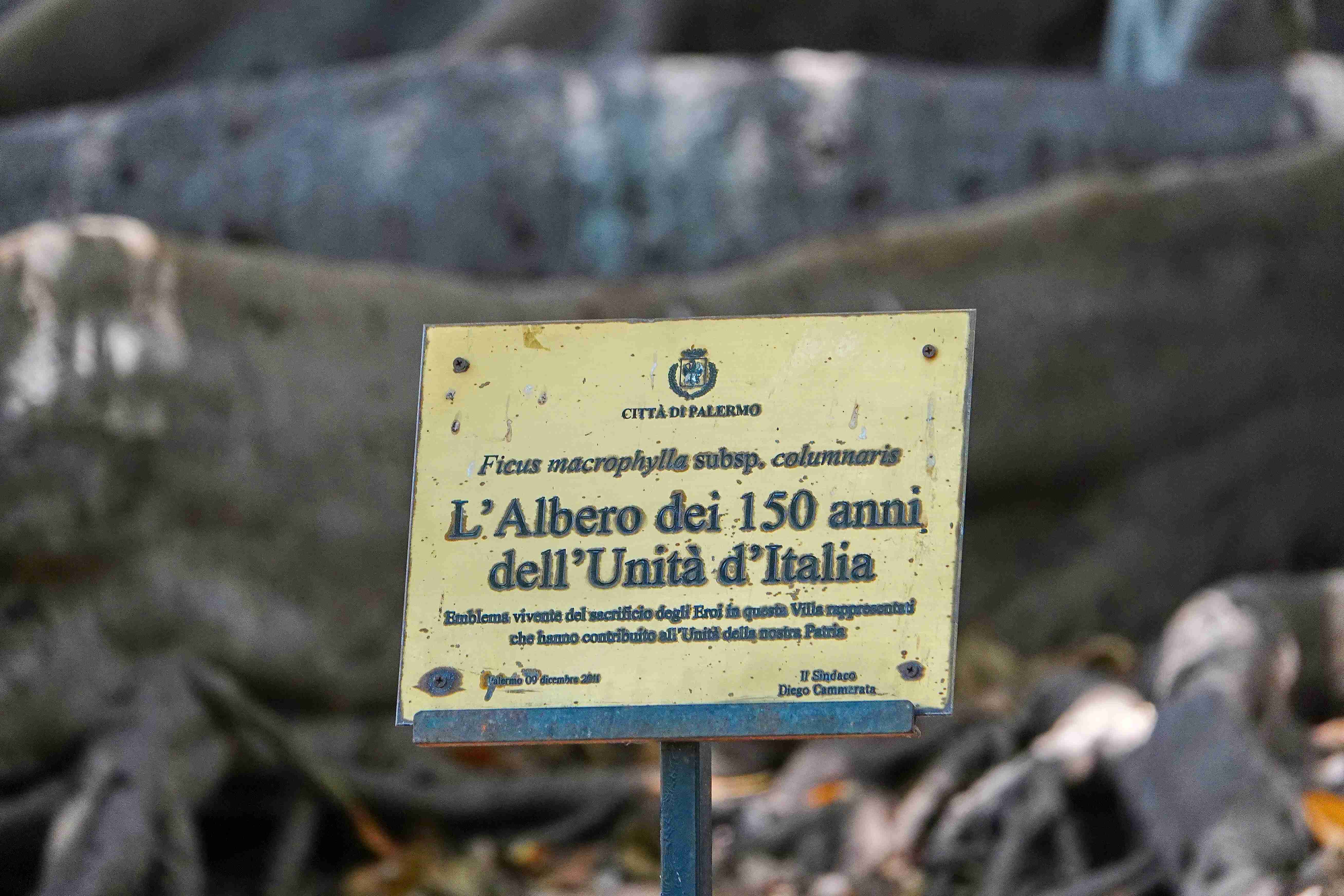 Itálie_Sicílie_Palermo_2023_07_Giardino Garibaldi (005)_result