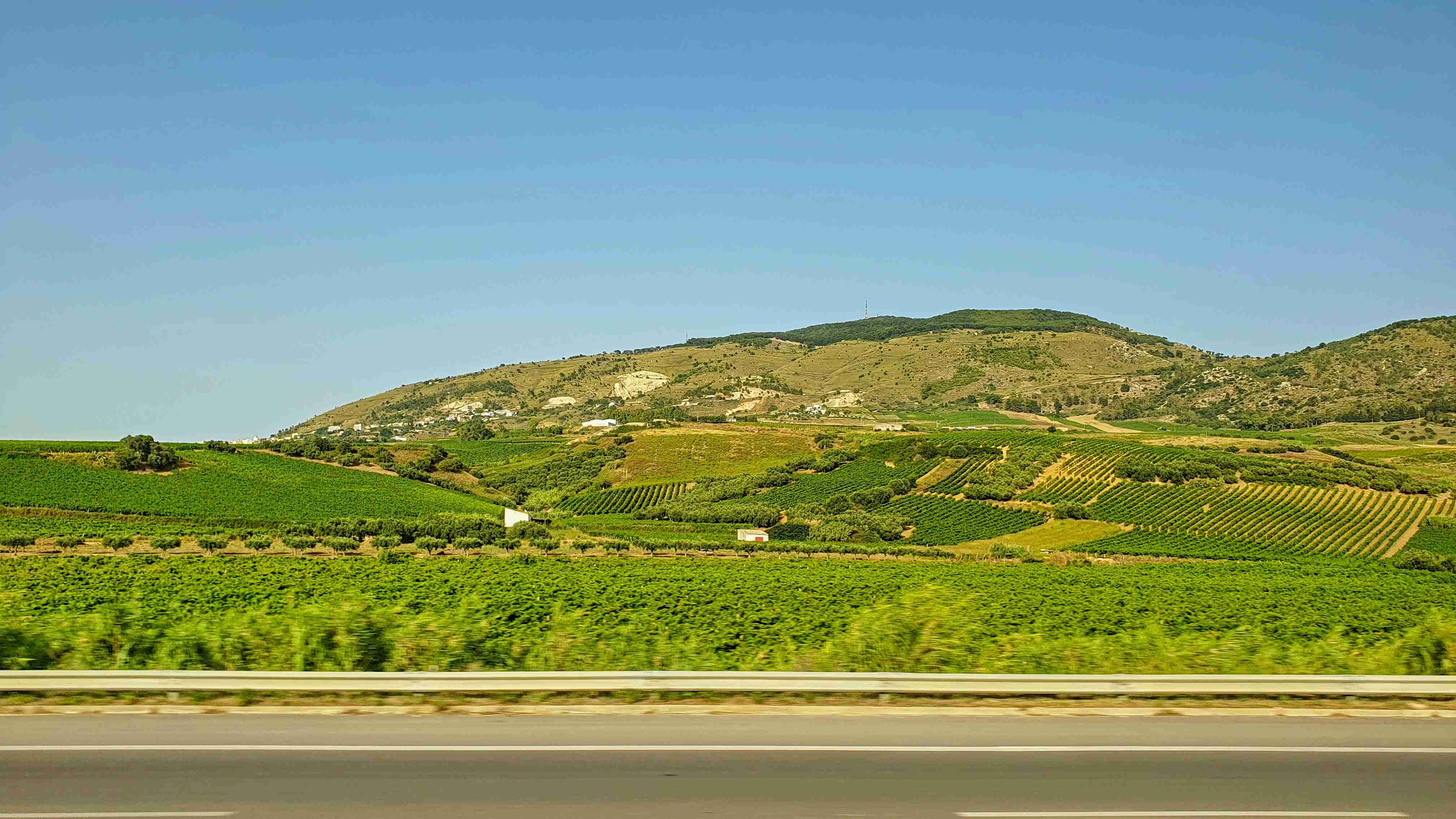 Alcamo (1)_result