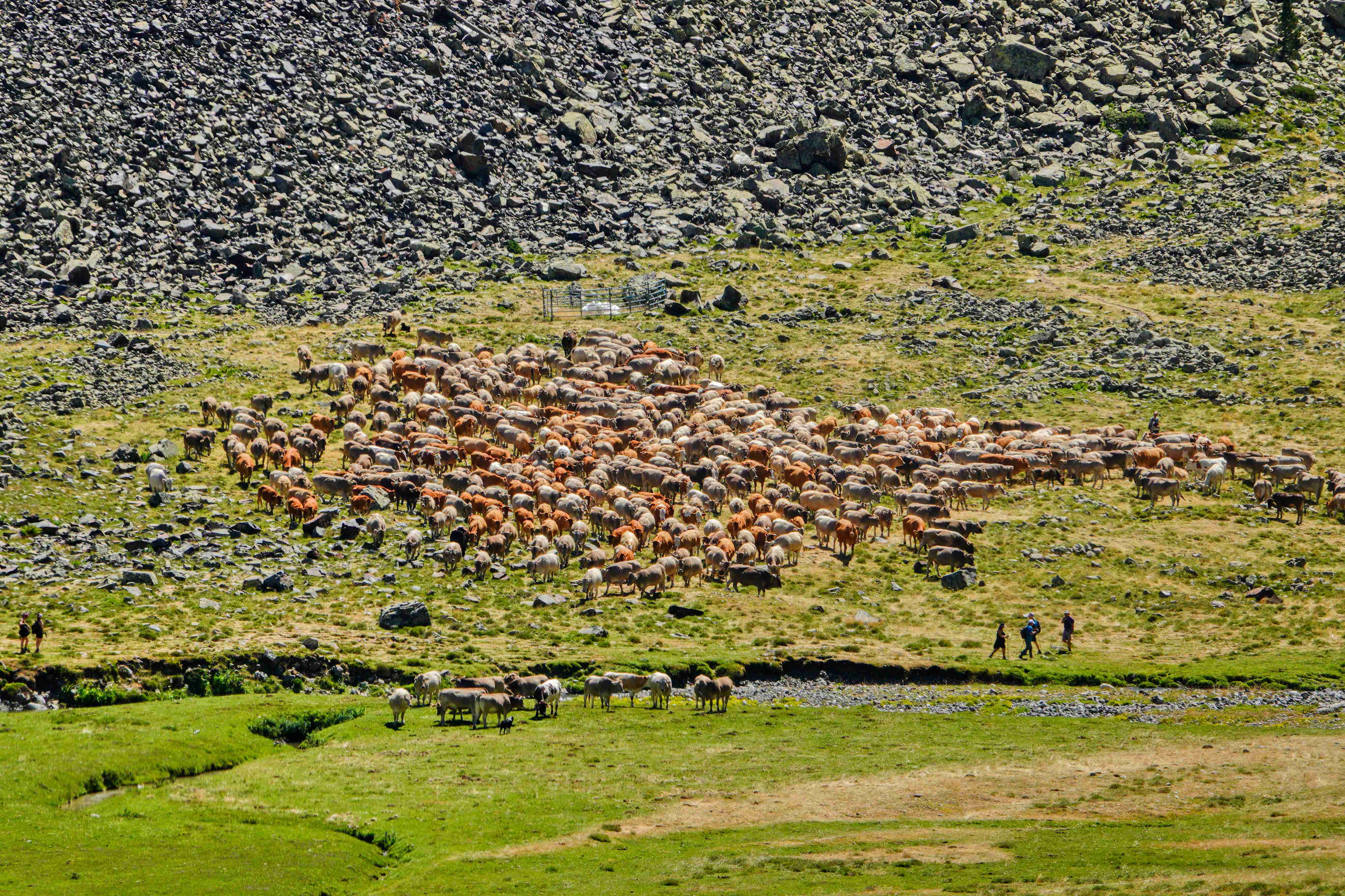 NP Maladeta_Val de Benás_021_result