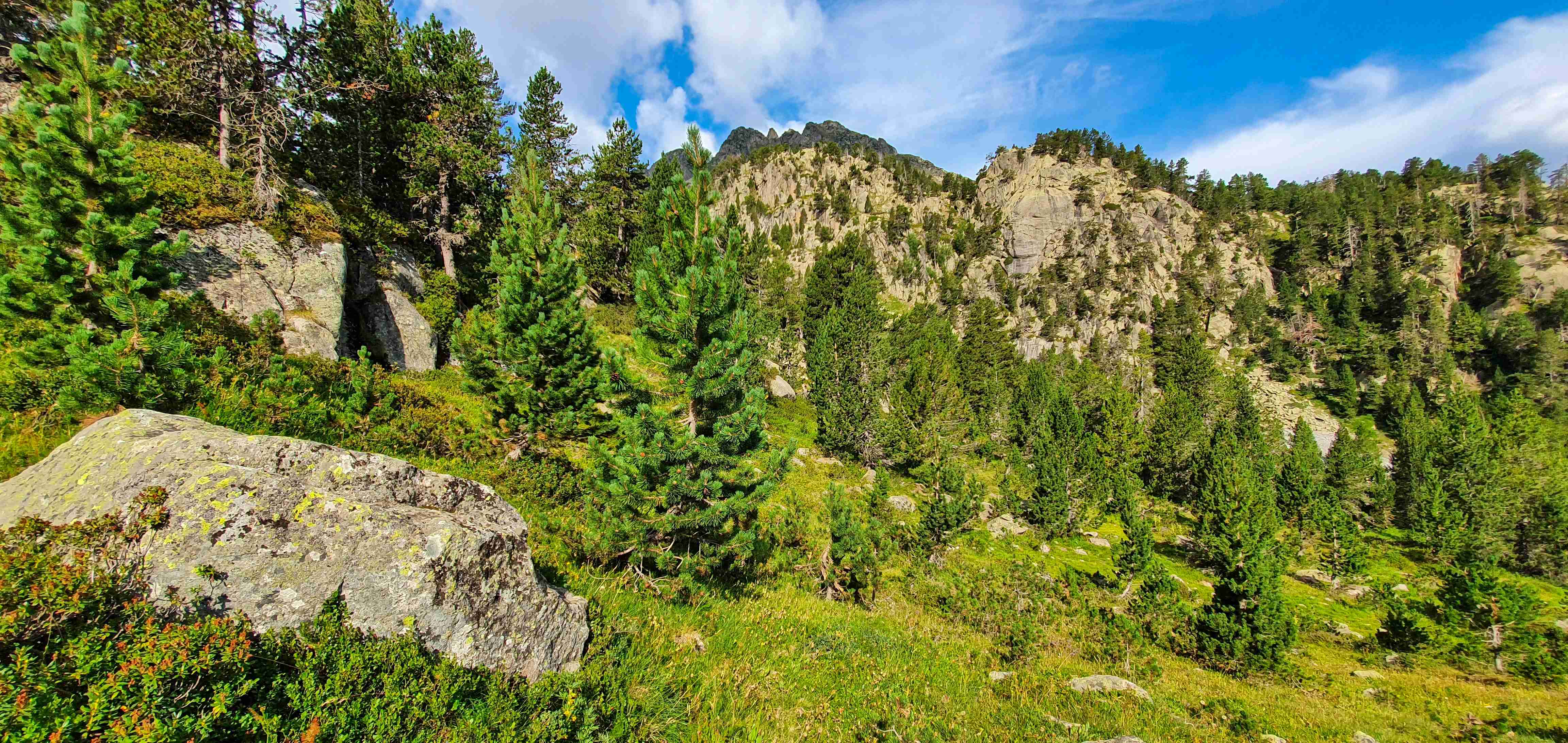 Circ de Colomers_001_result