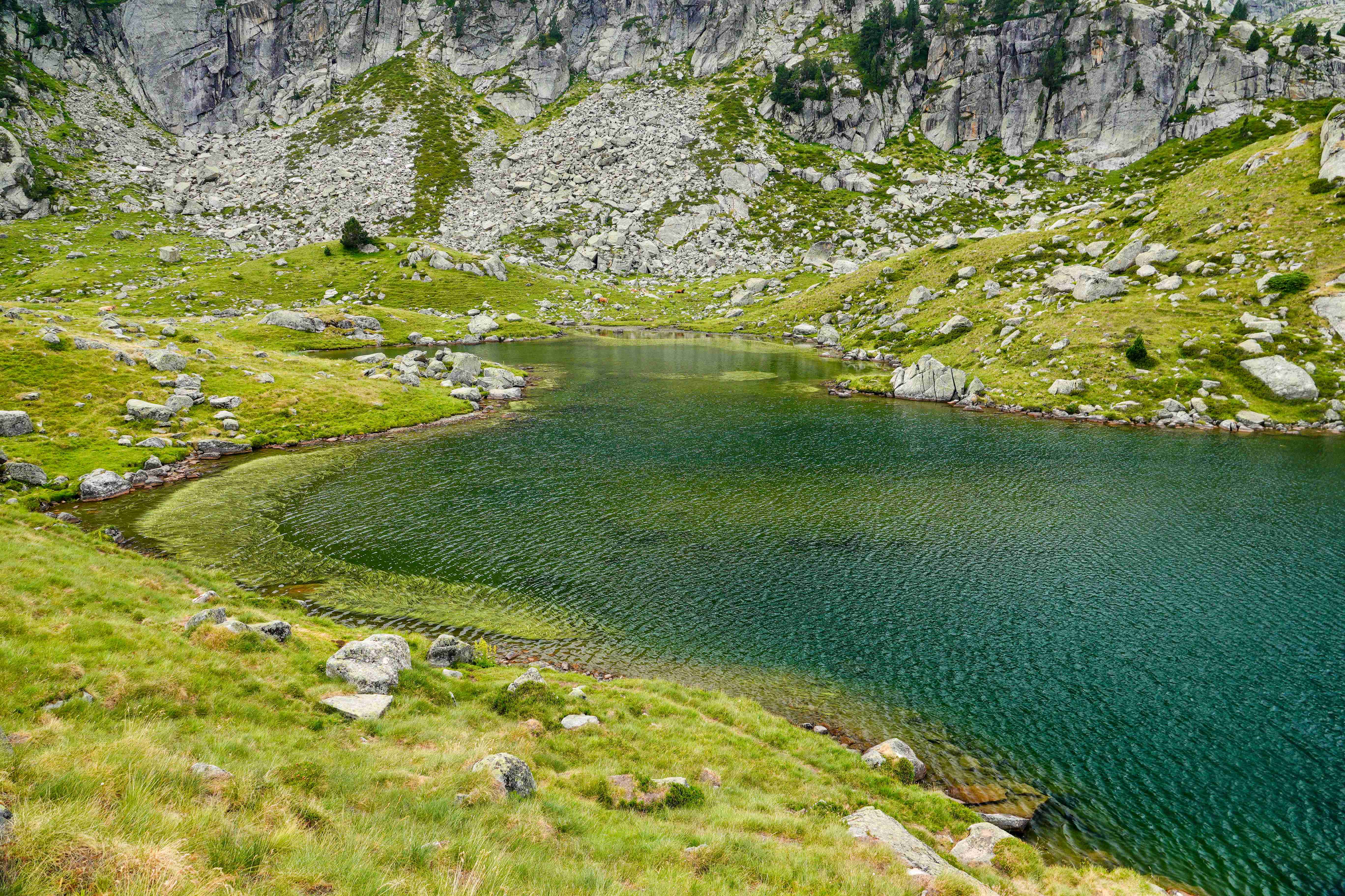Circ de Colomers_022_result