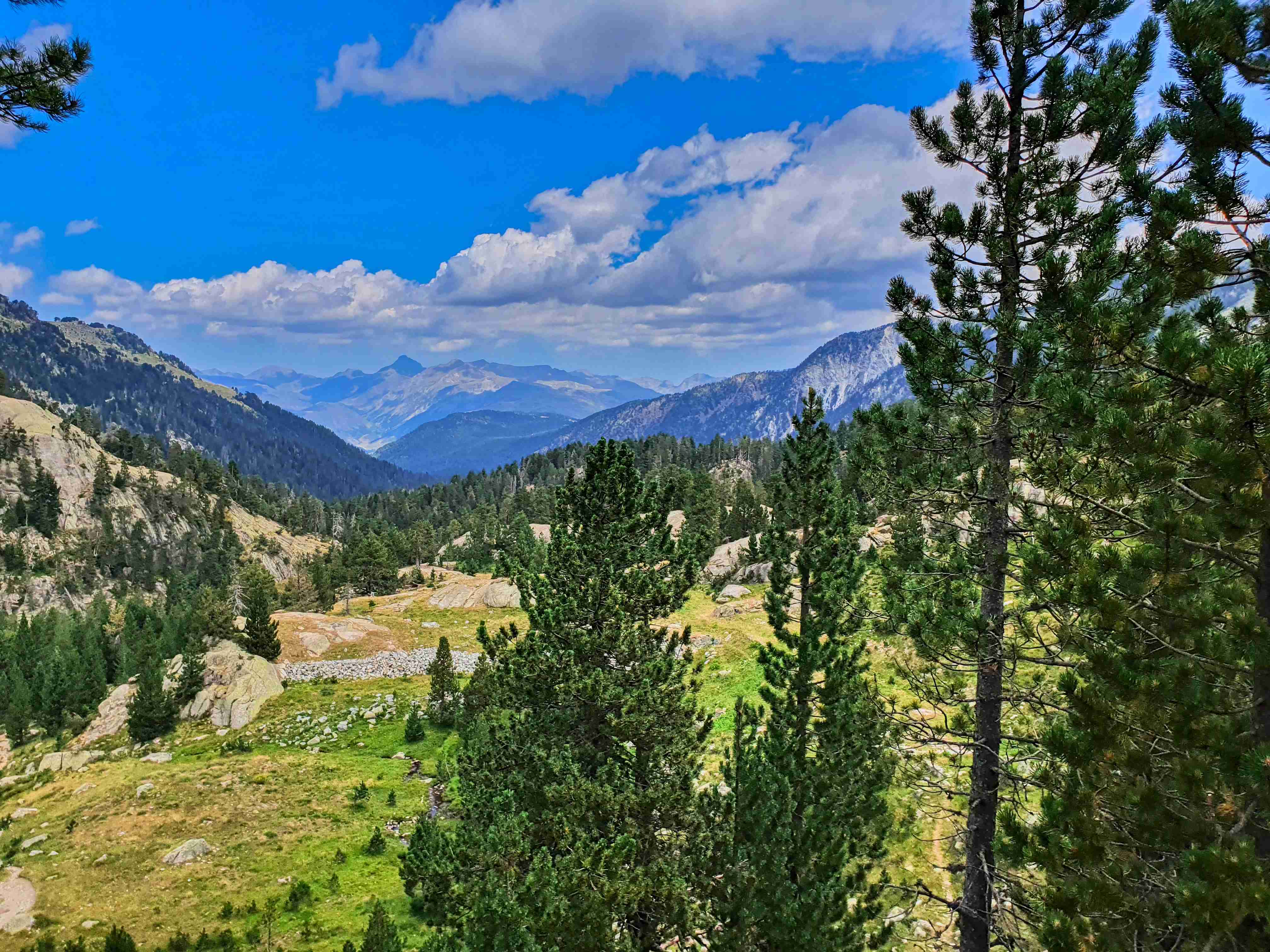 Circ de Colomers_025_result