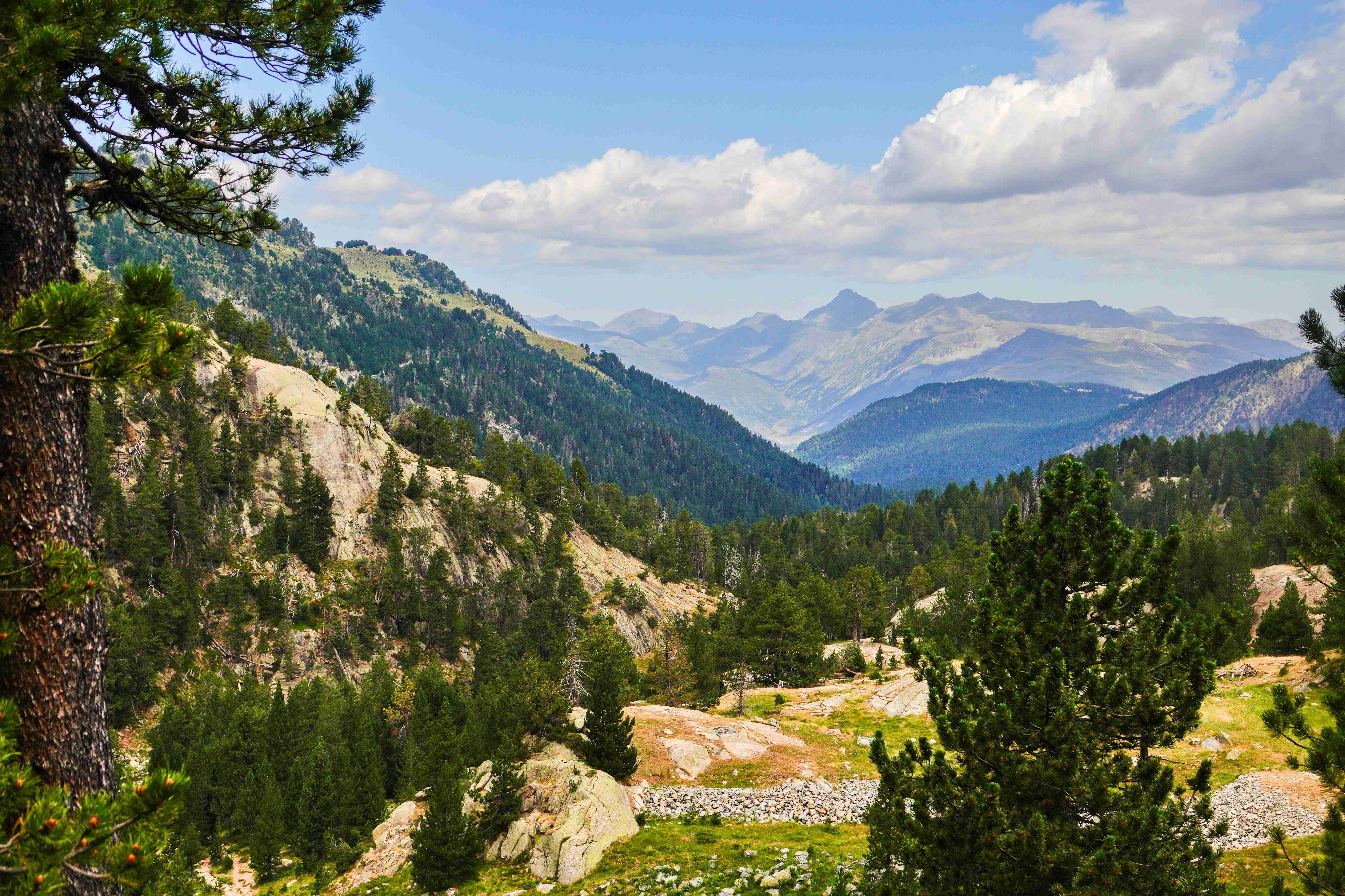 Circ de Colomers_026_result