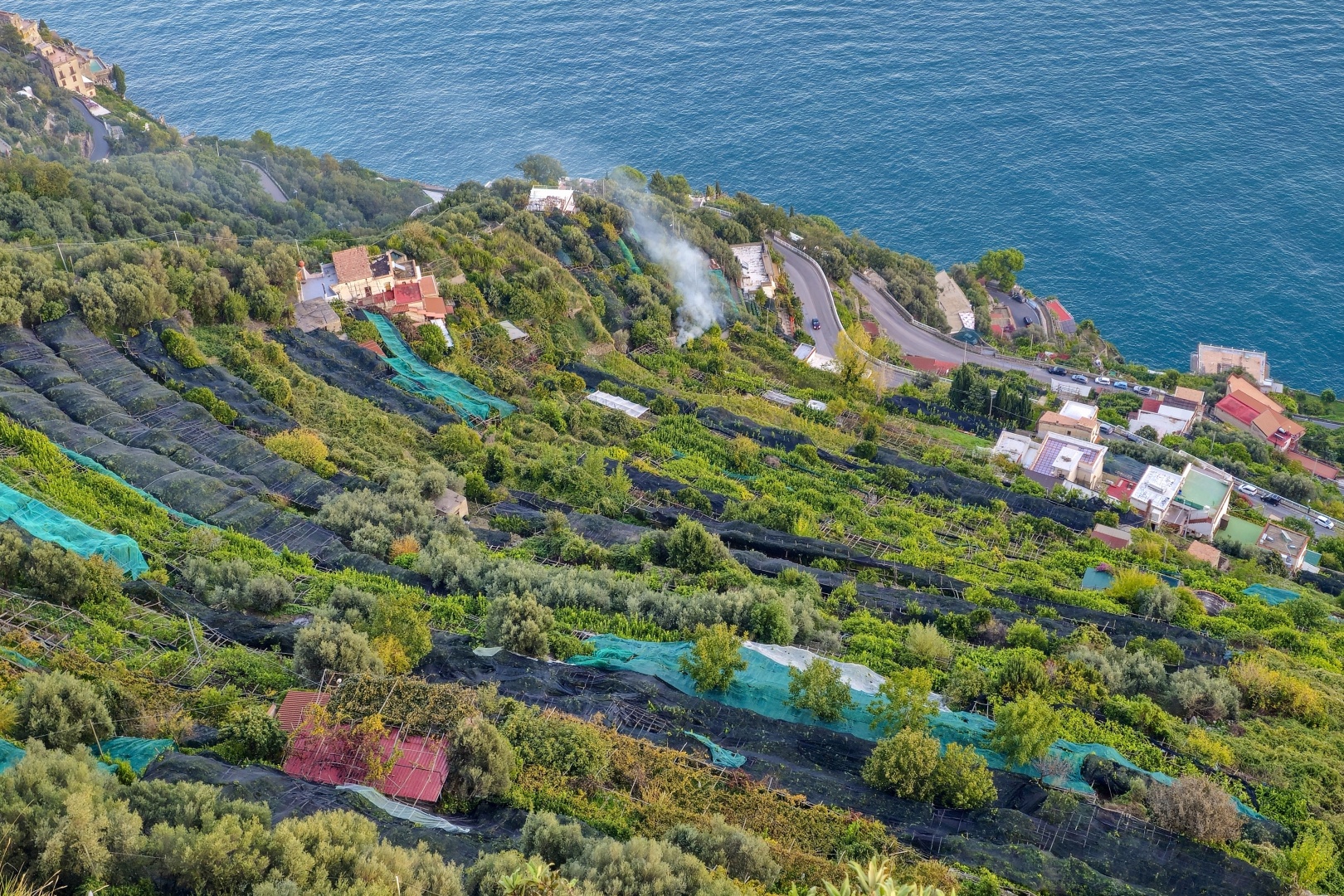 Ravello_2025_10_citroníkové plantáže_052 (3)