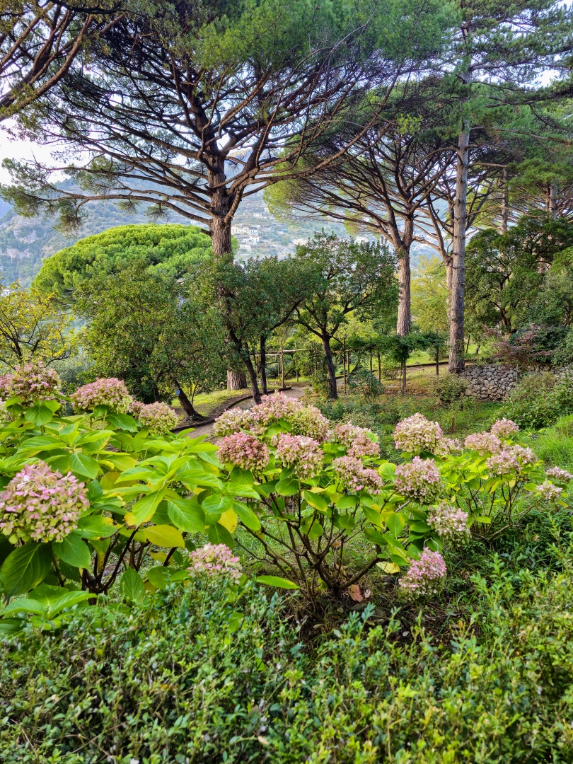 Ravello_Villa Cimbrone_2025_10_014